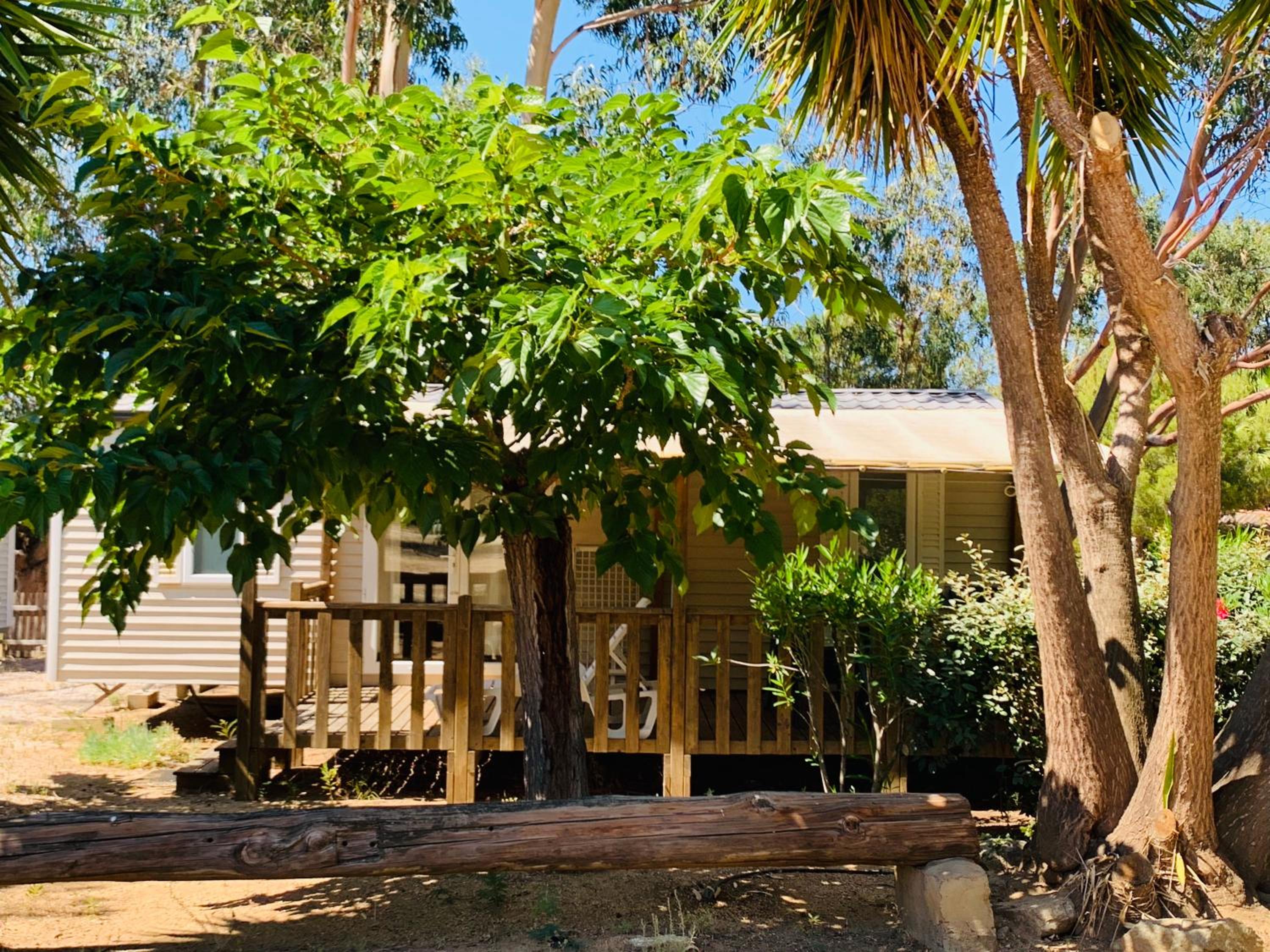 Mobile Home Ohara photo 3