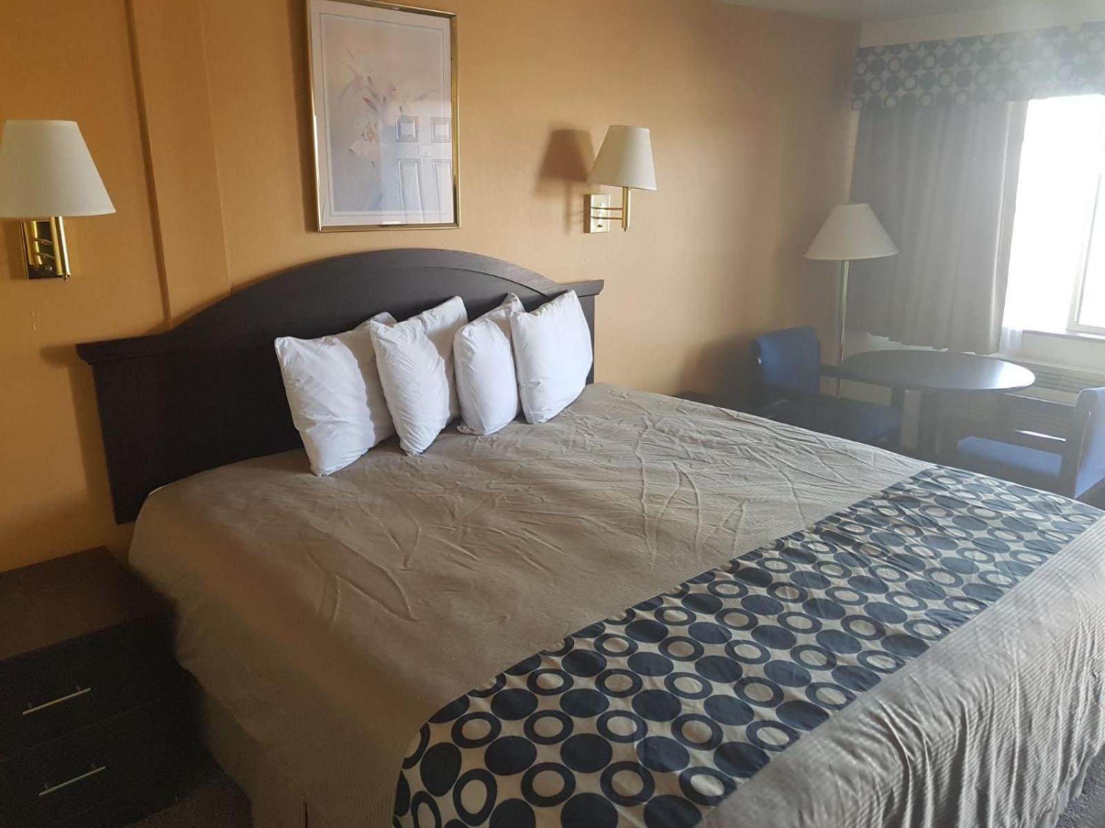 Large Single Room photo 1