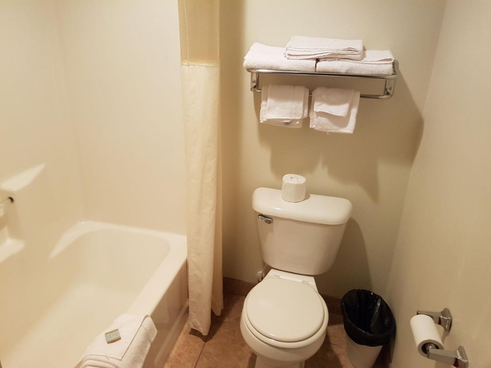 Large Single Room photo 2