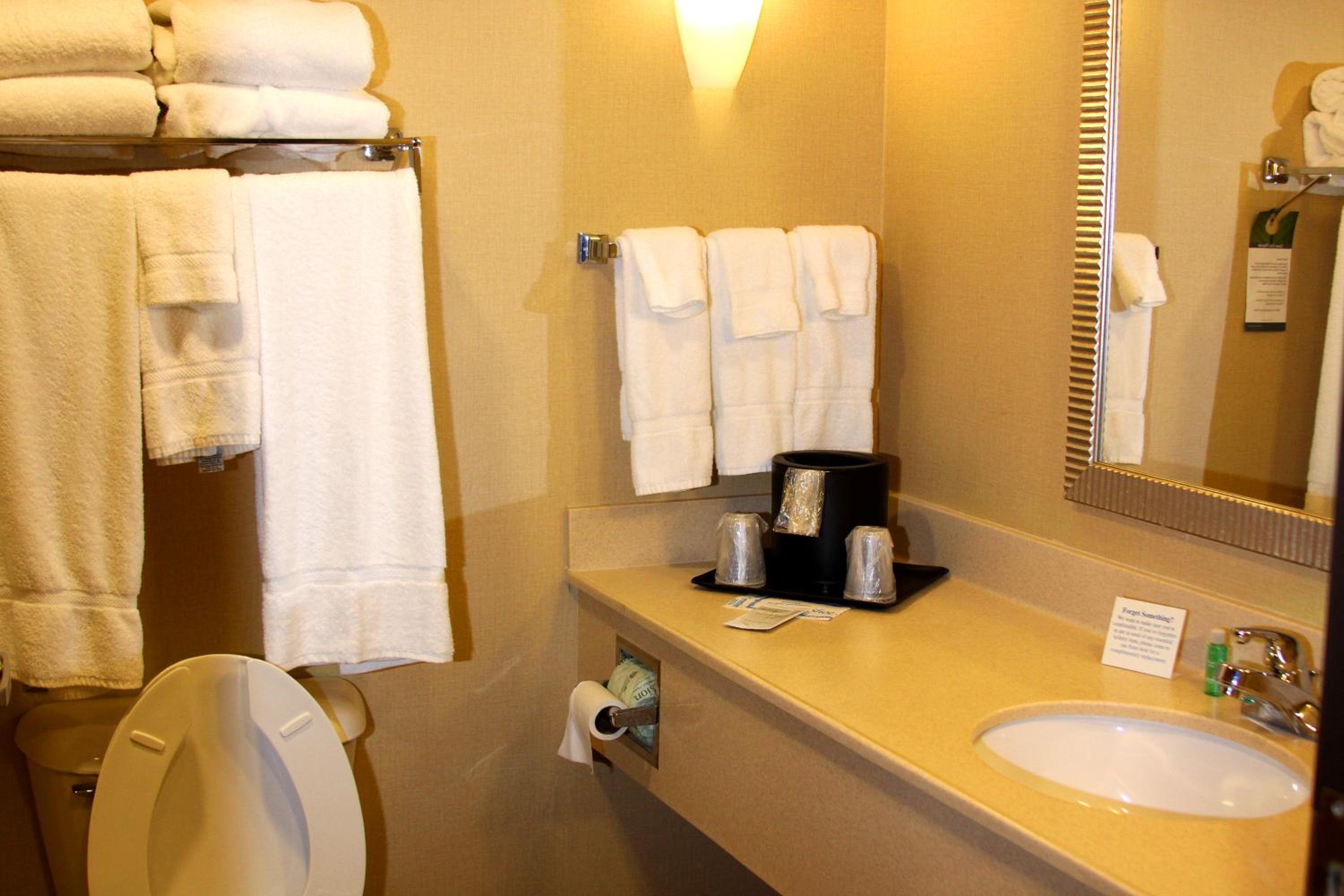 King Suite - Disability Access/Non-Smoking - Photo 5