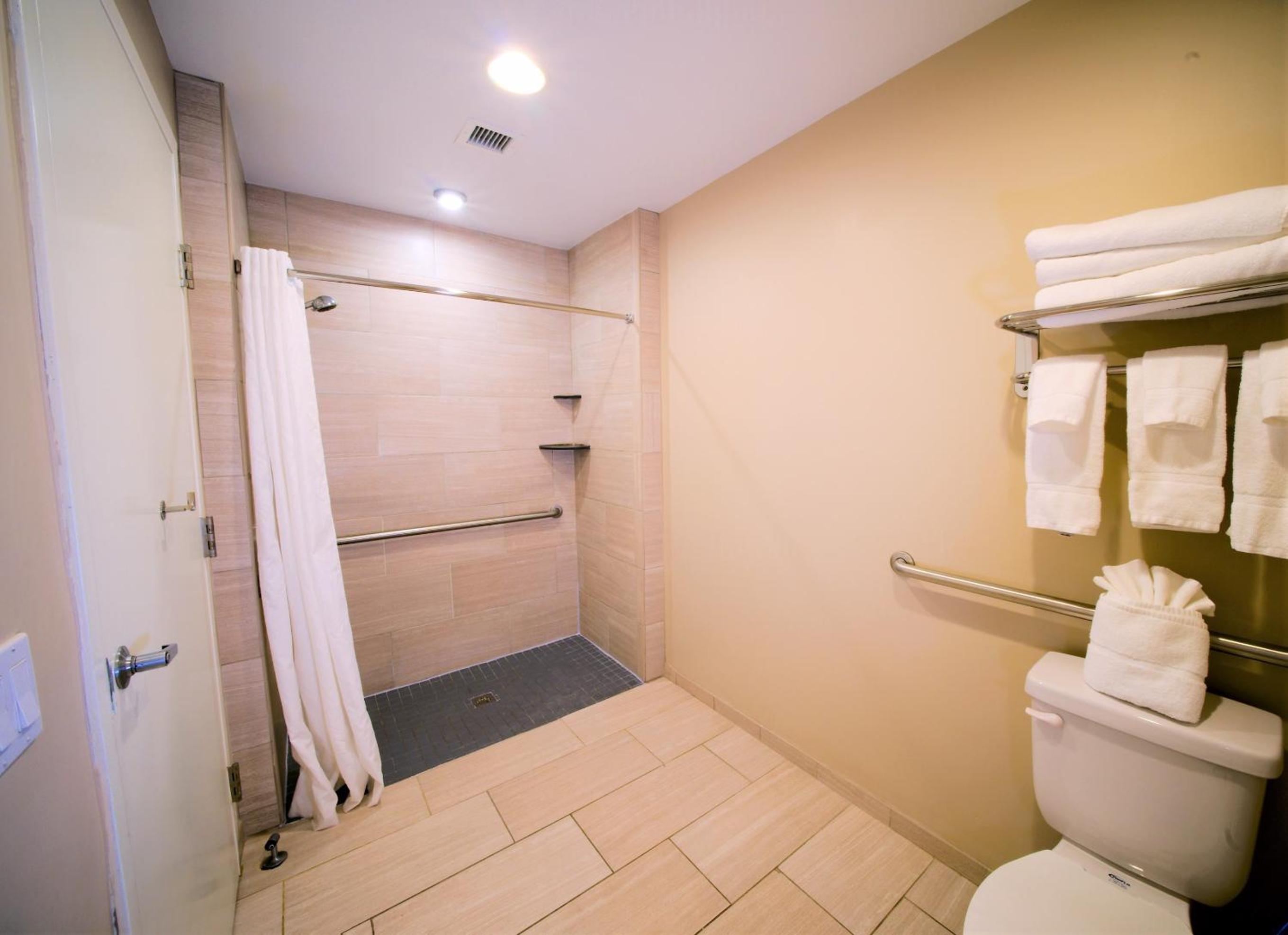 One-Bedroom Queen Suite with Roll-In Shower - Non-Smoking, Accessible