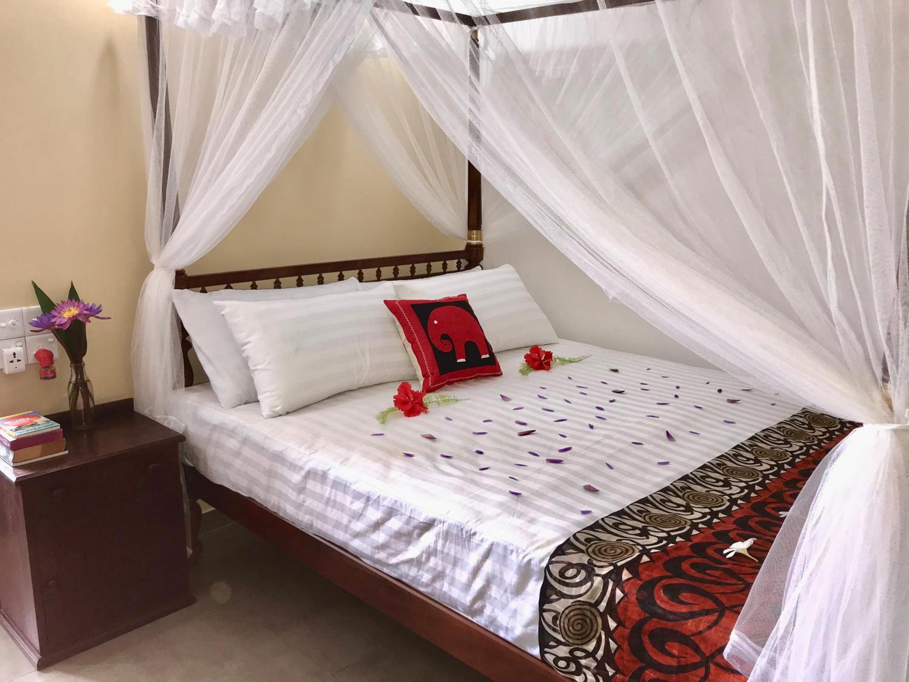 Deluxe Single Room with Garden View photo 2