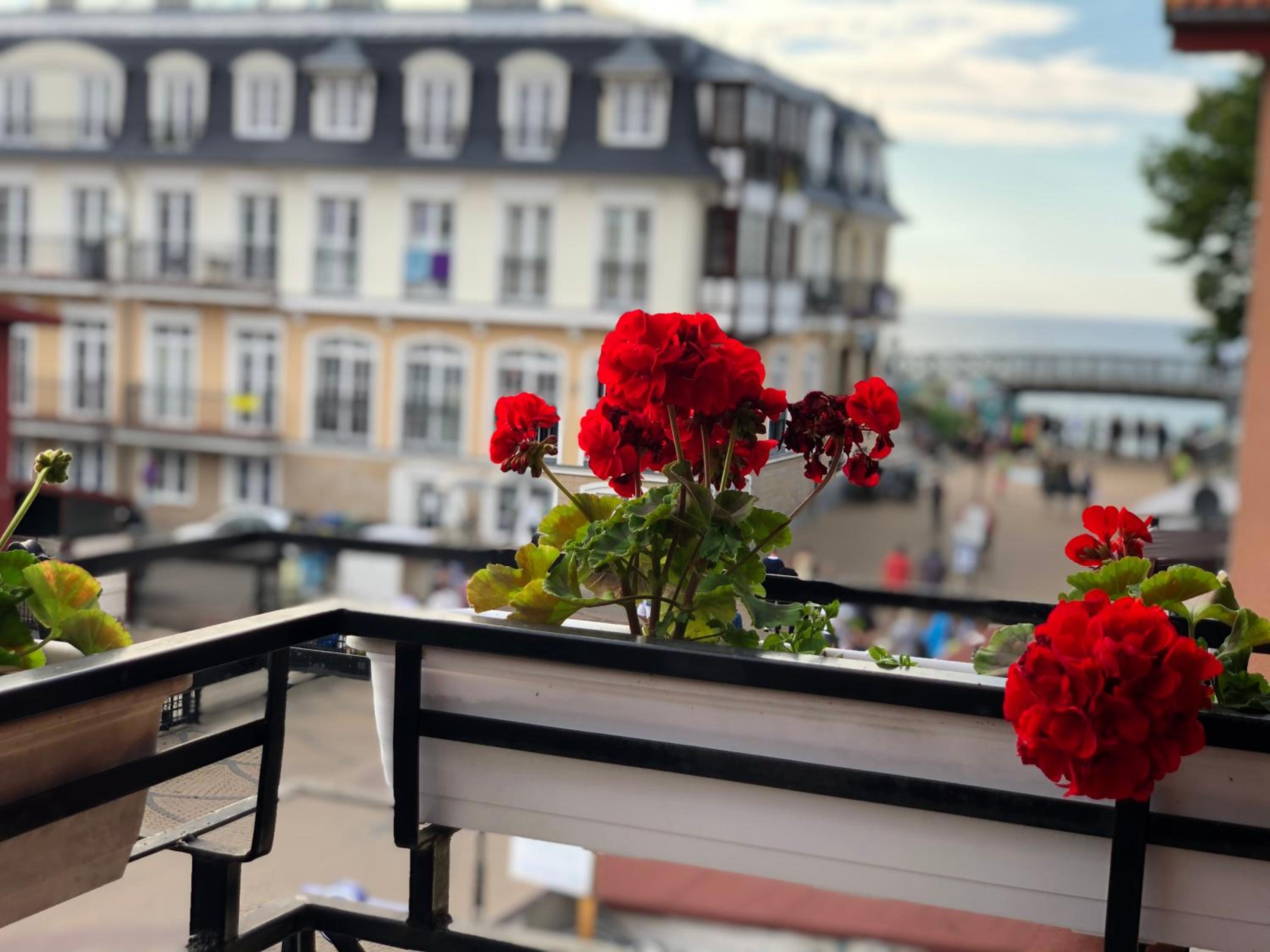 Studio Apartment with Sea View photo 2