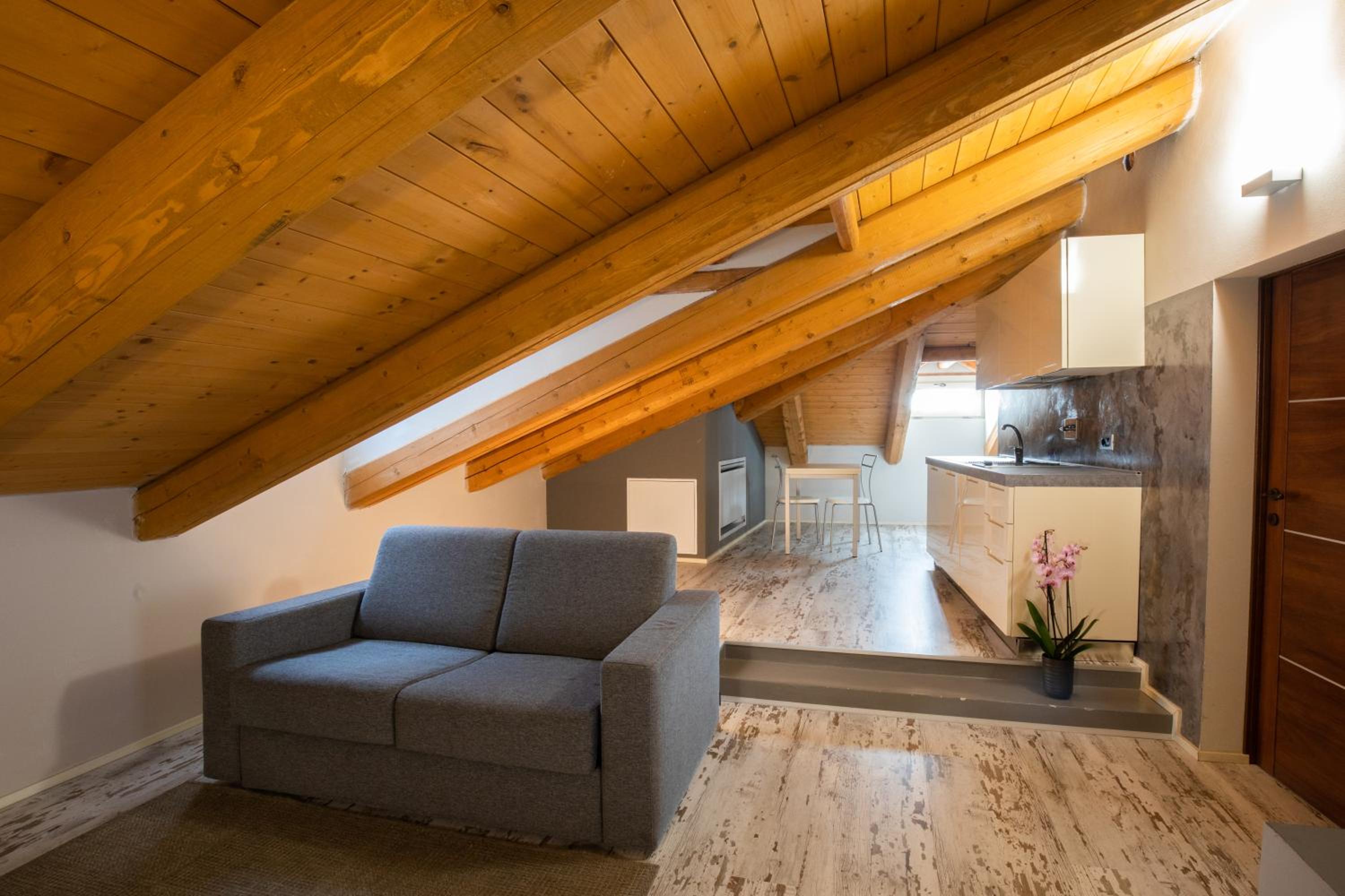 One-Bedroom Apartment - Attic photo 1