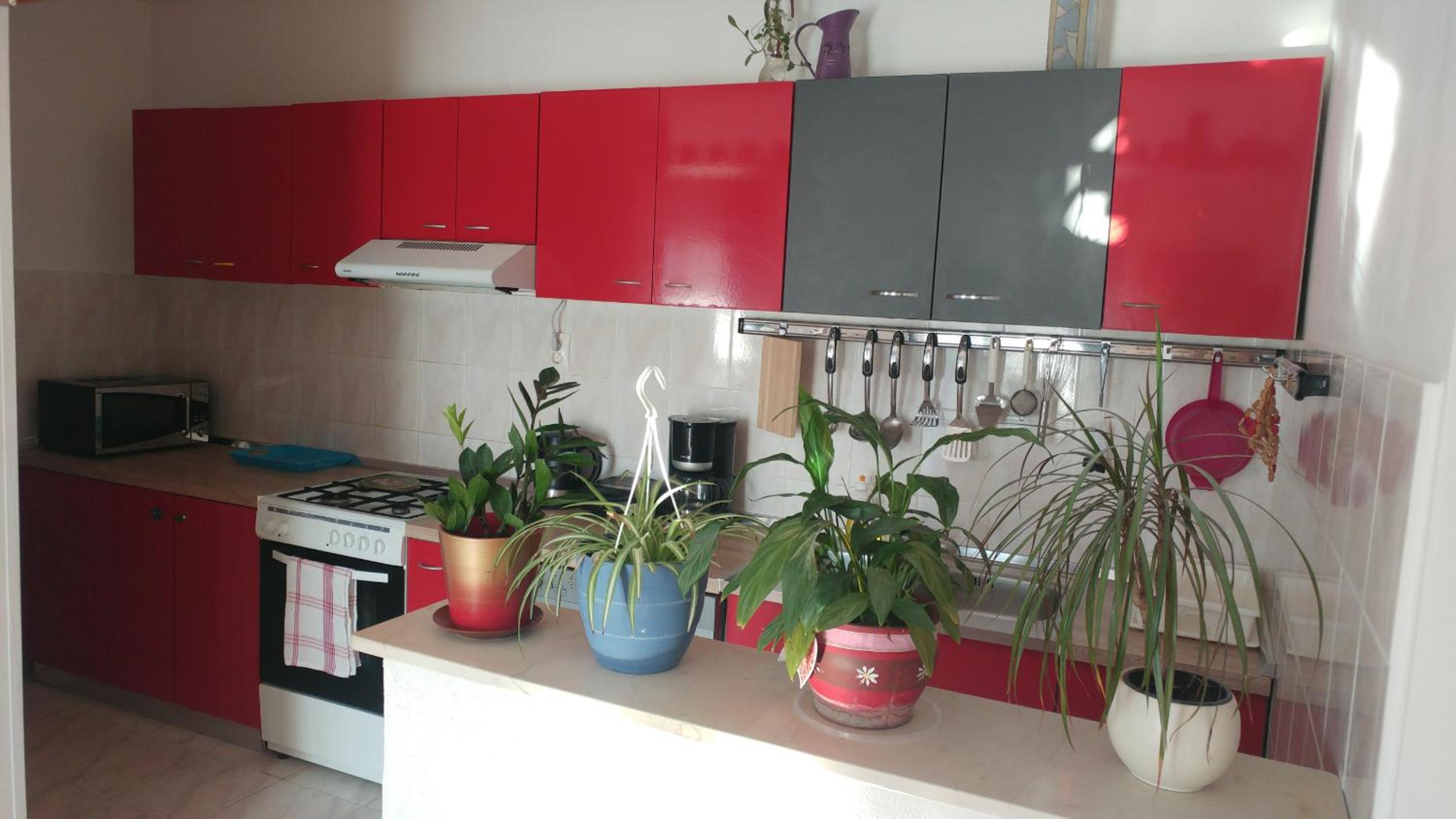 Apartment - Photo 8