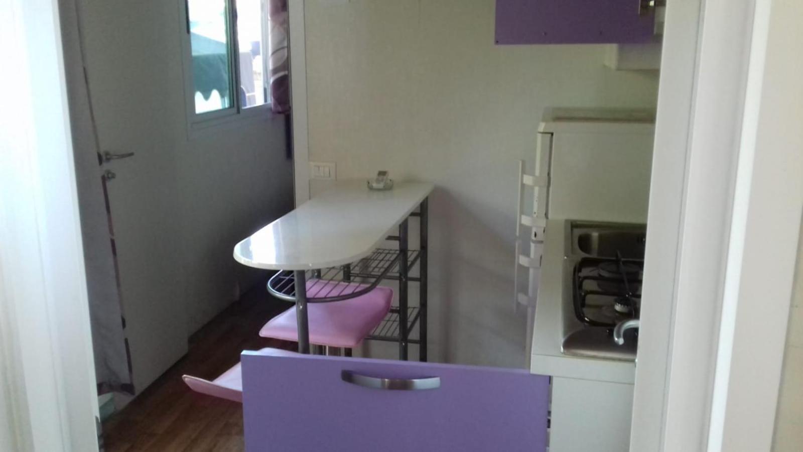 Mobile Home photo 2