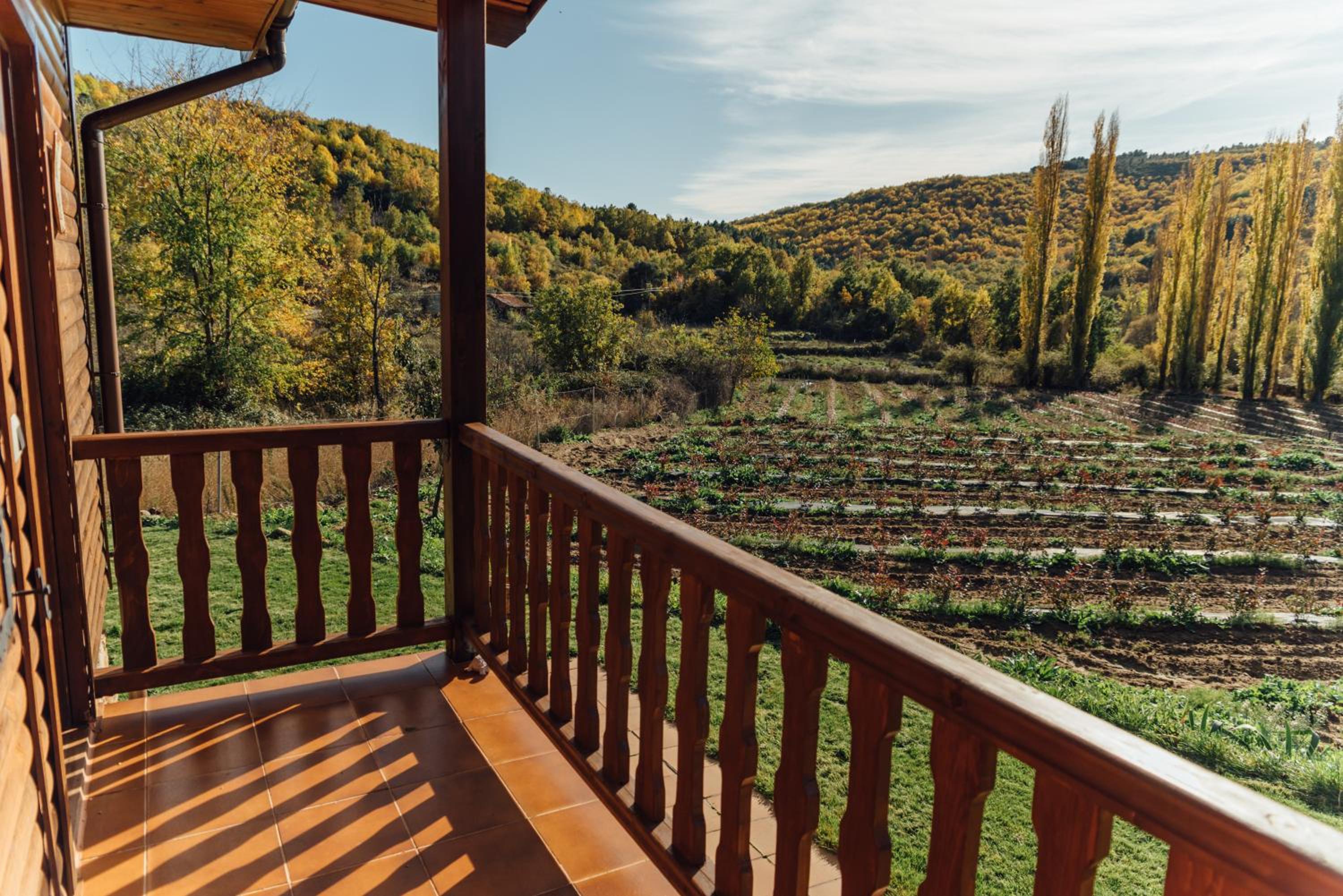 Deluxe Bungalow with Garden View photo 3