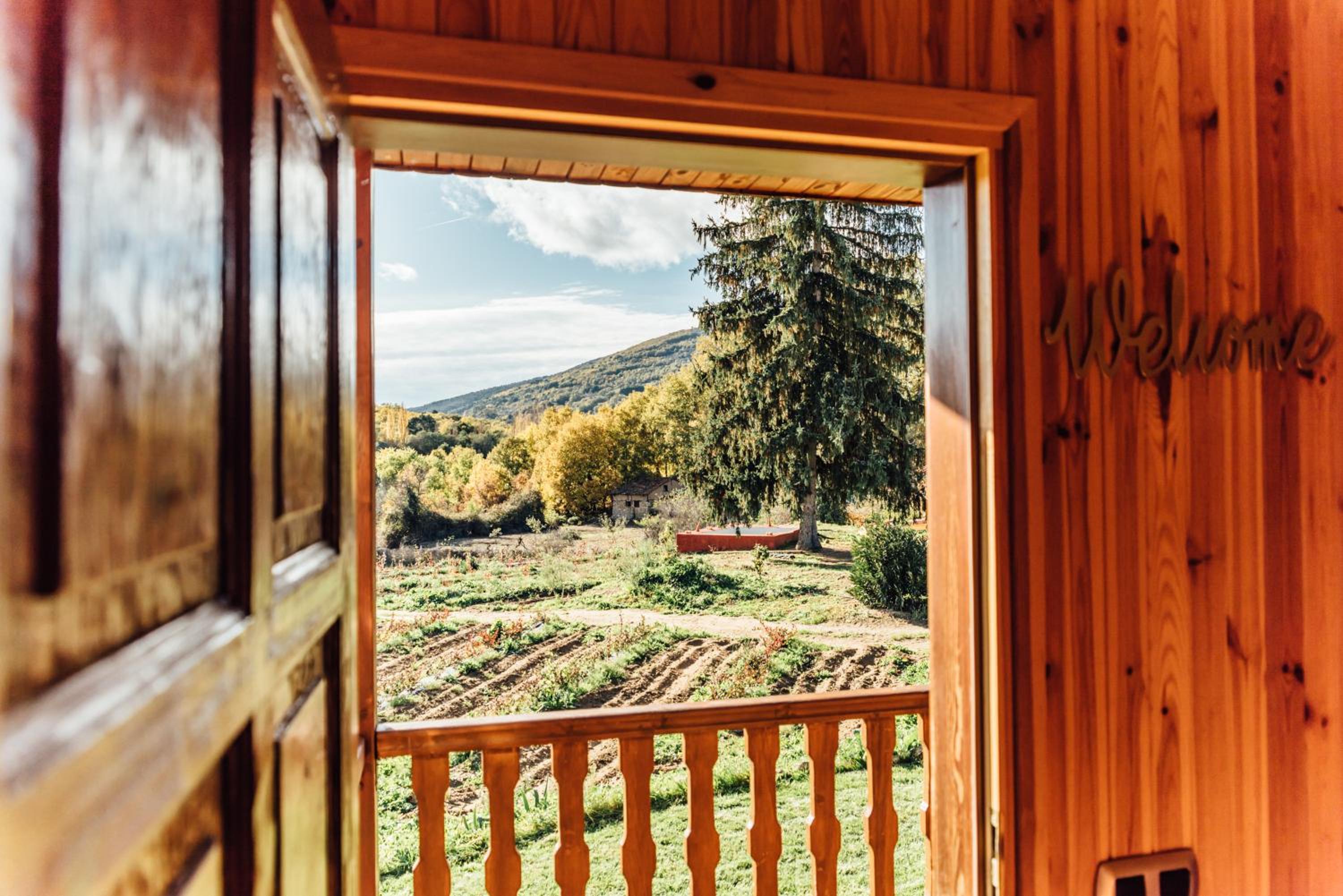 Deluxe Bungalow with Garden View photo 2