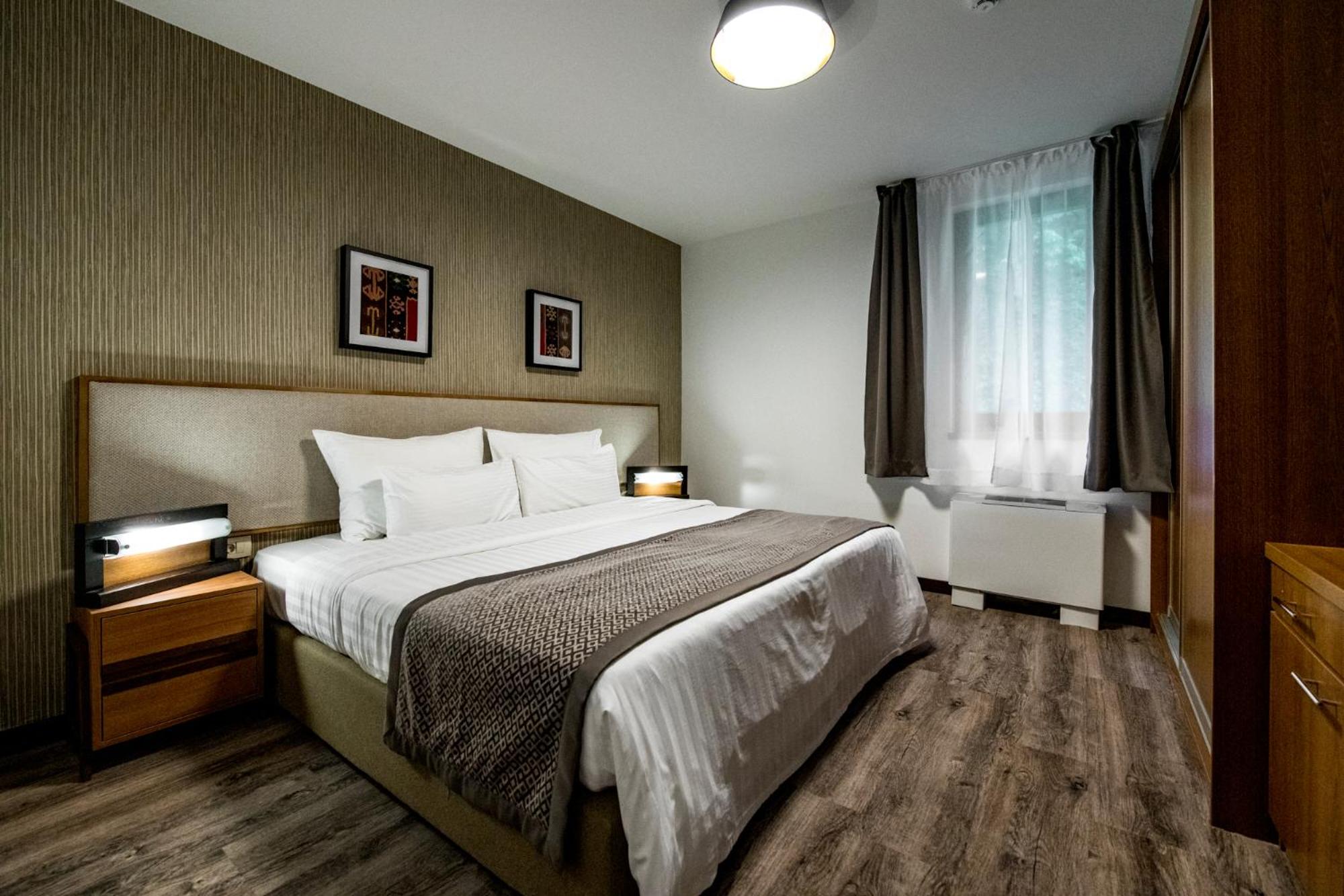 Deluxe One-Bedroom Apartment - Photo 9
