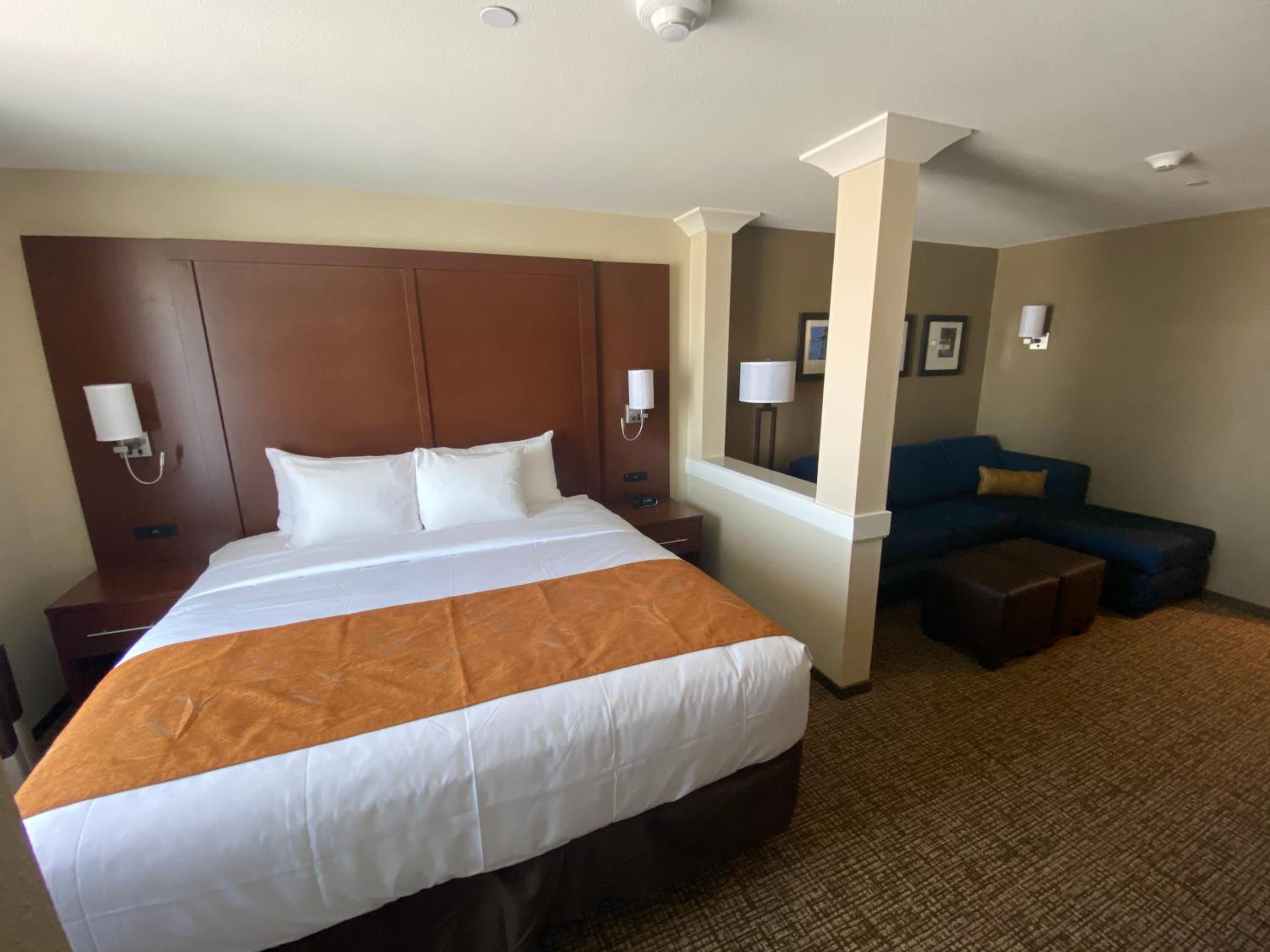King Suite and Sofa Bed - Non-Smoking - Photo 6