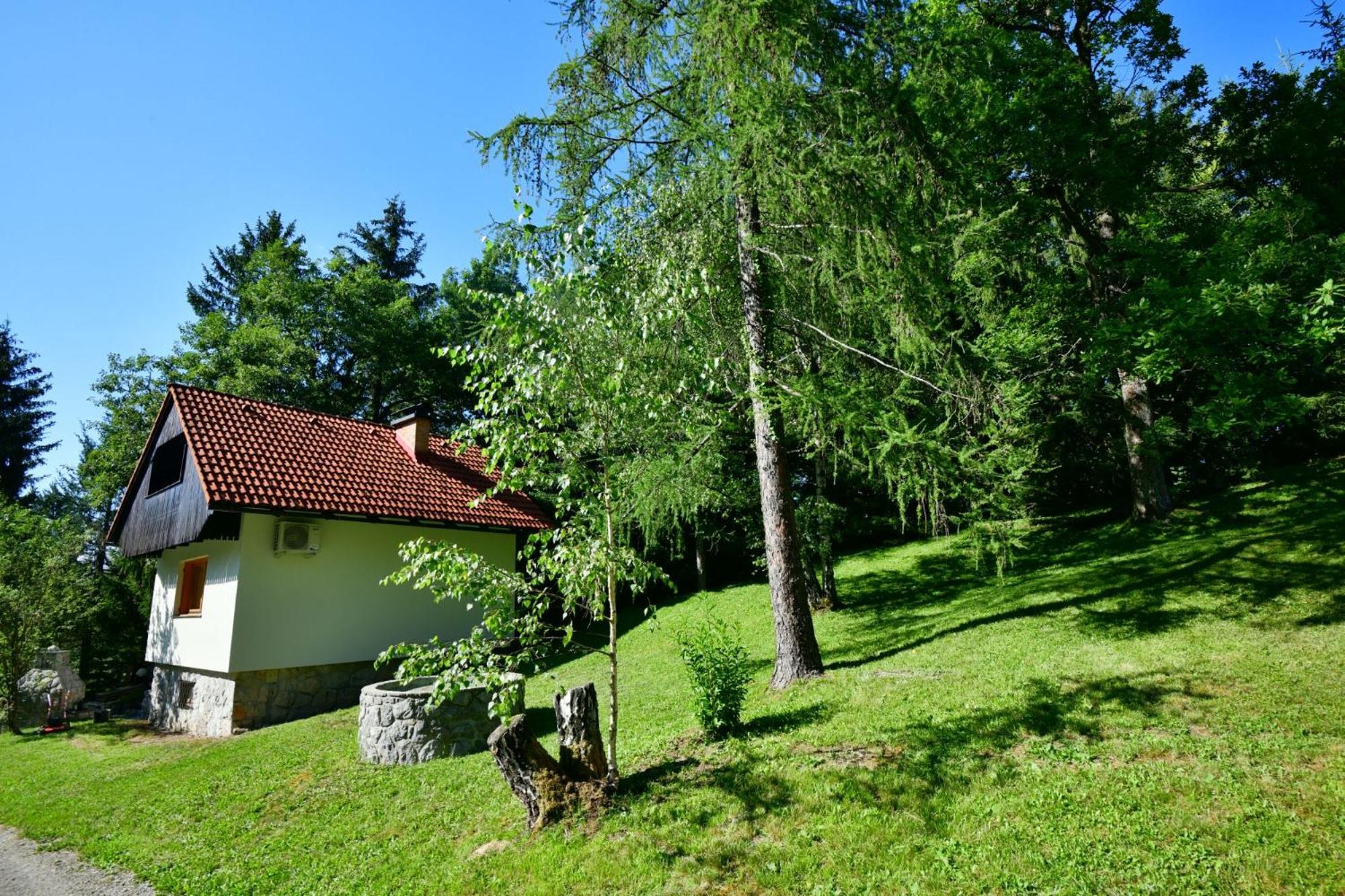Three-Bedroom House photo 3