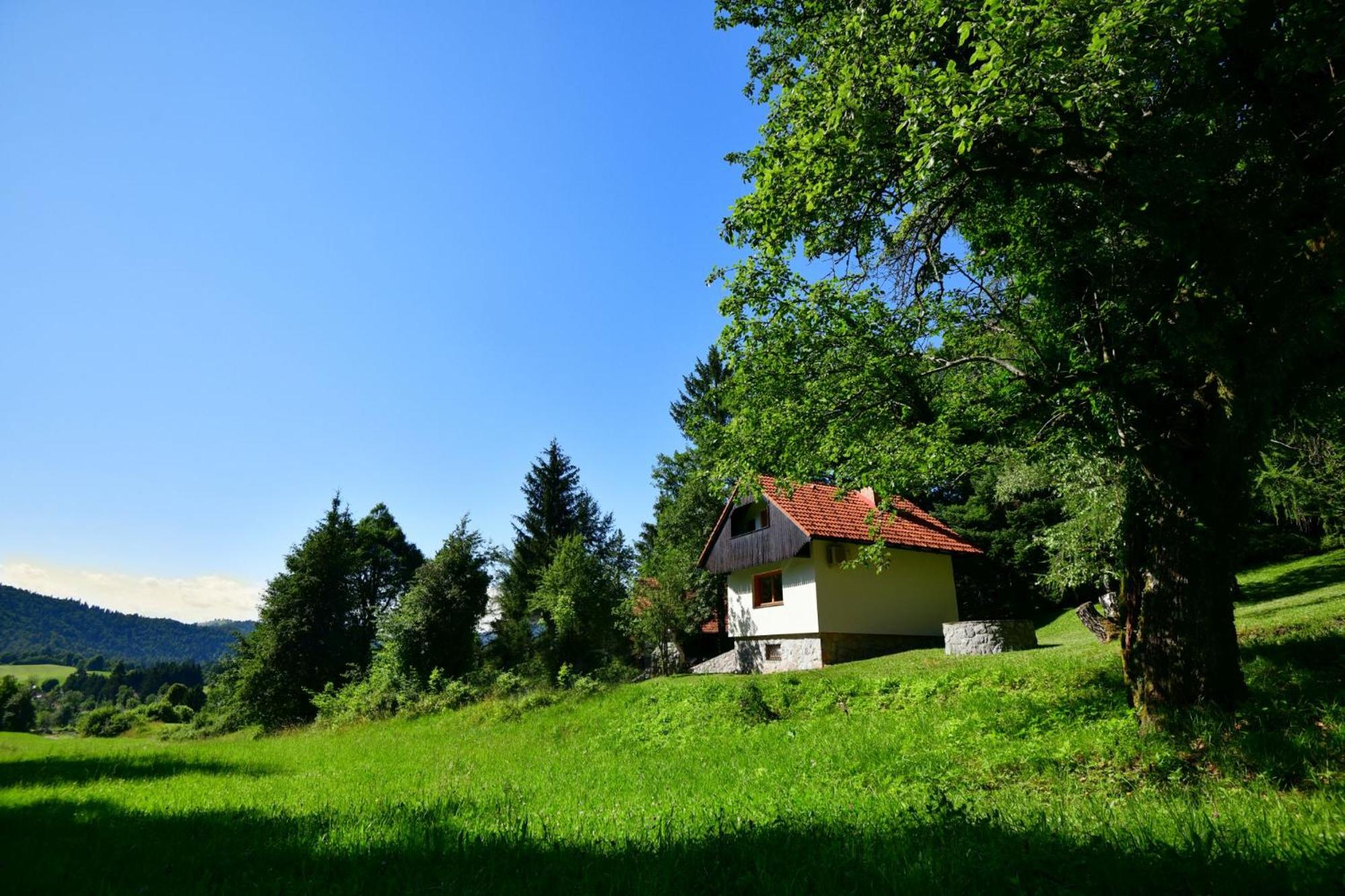 Three-Bedroom House photo 2