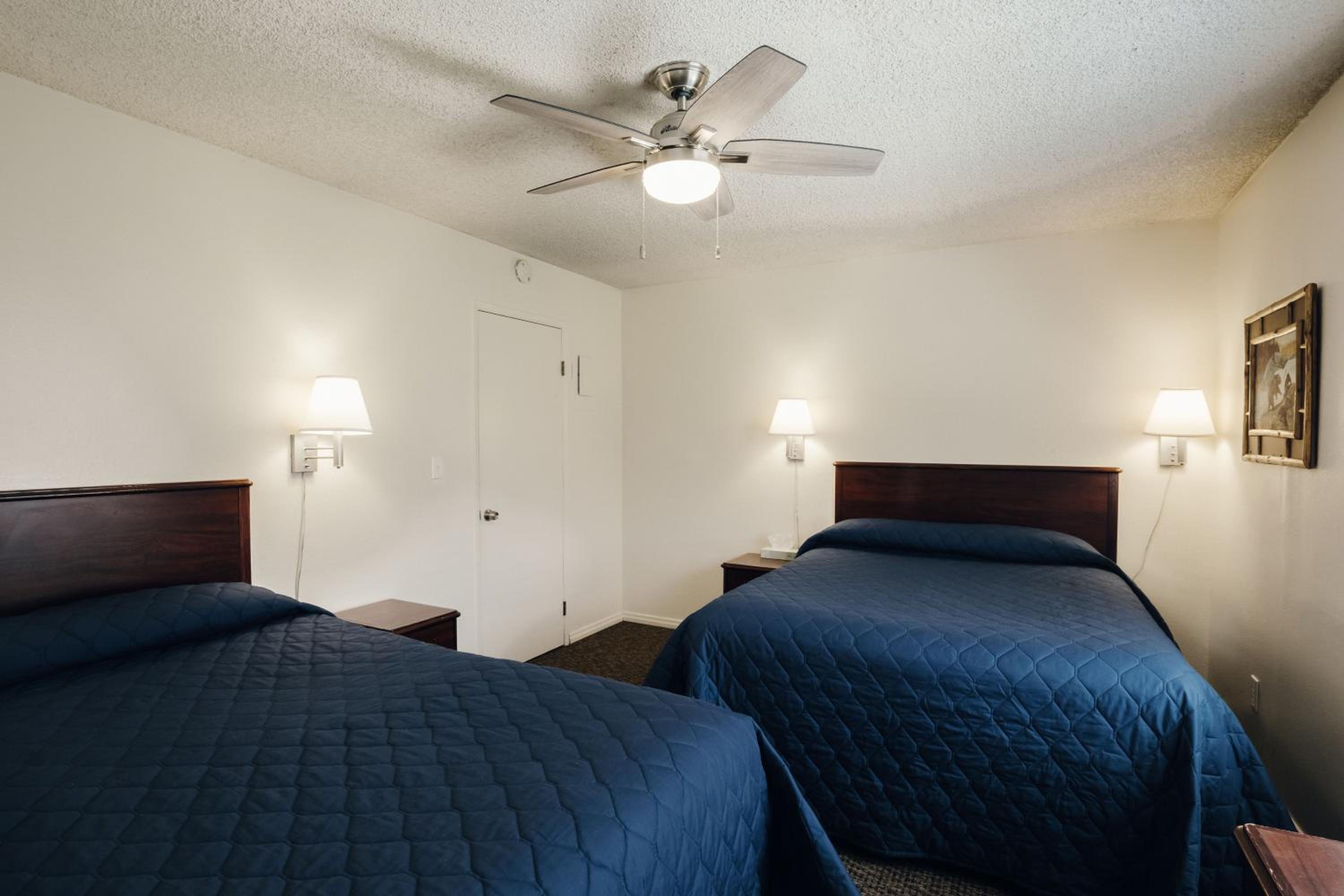 Family Suite photo 1