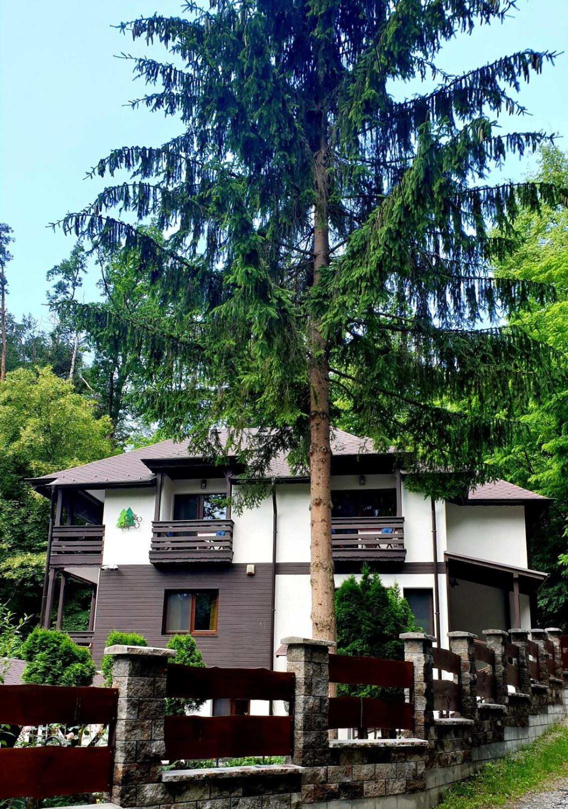 Villa photo 3
