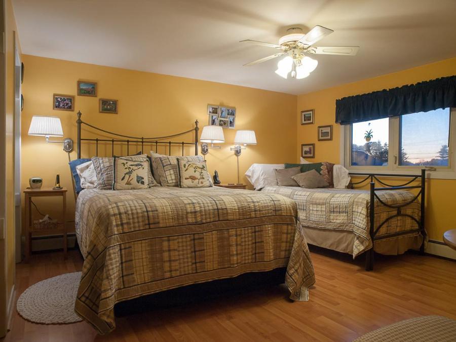 Queen Room with Single Bed photo 1