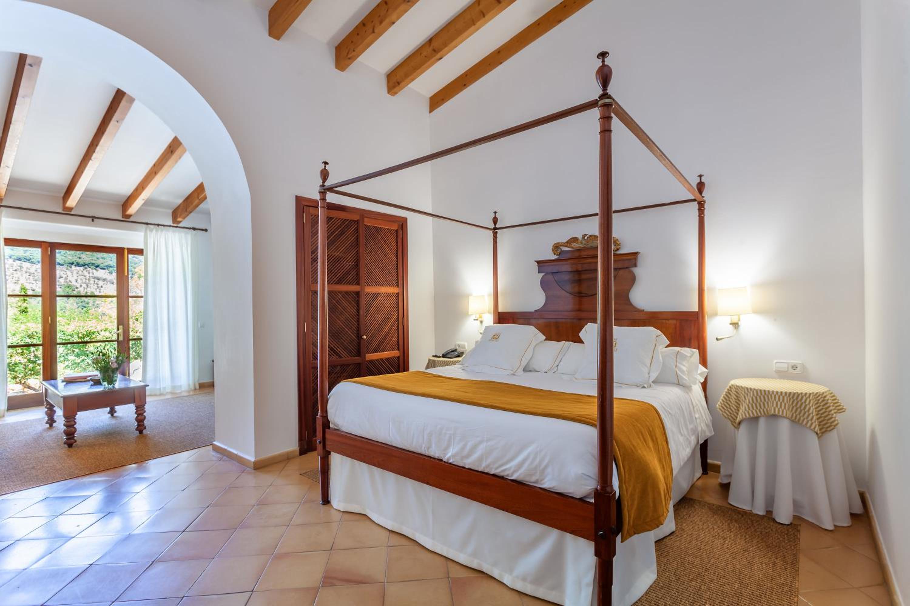Suite Junior con Terraza