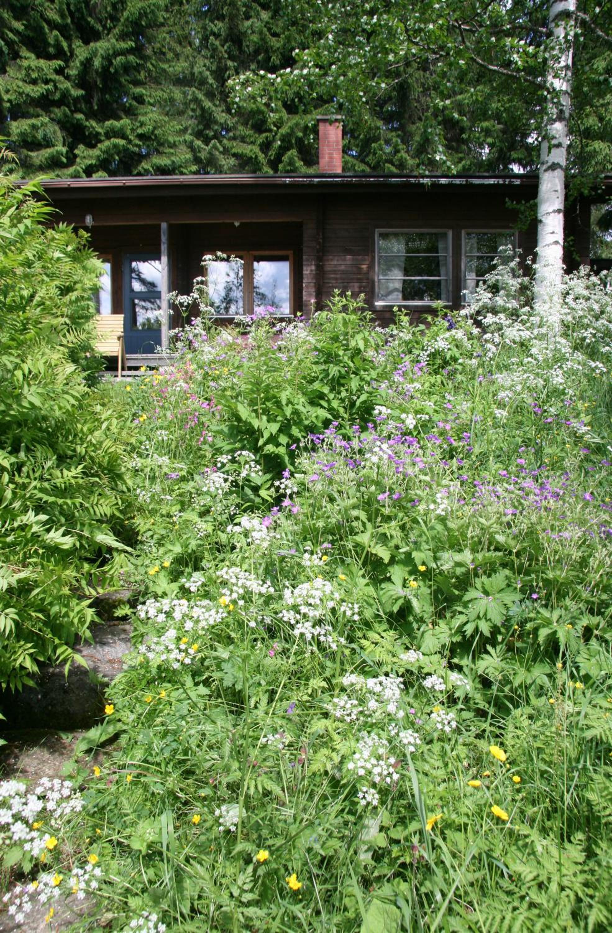 Economy Cottage (3 Adults) - Photo 17