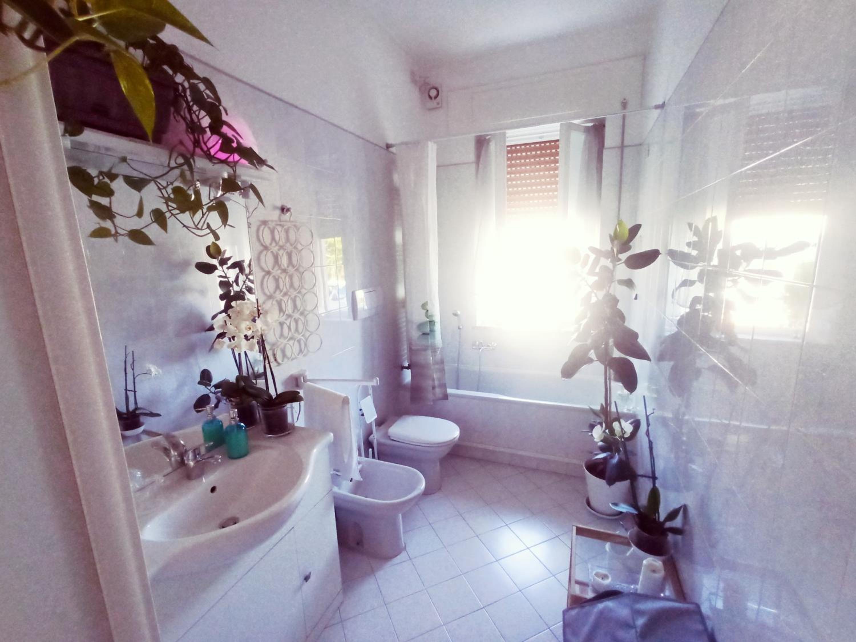 Deluxe Double Room with Extra Bed and Shared Bathroom photo 3