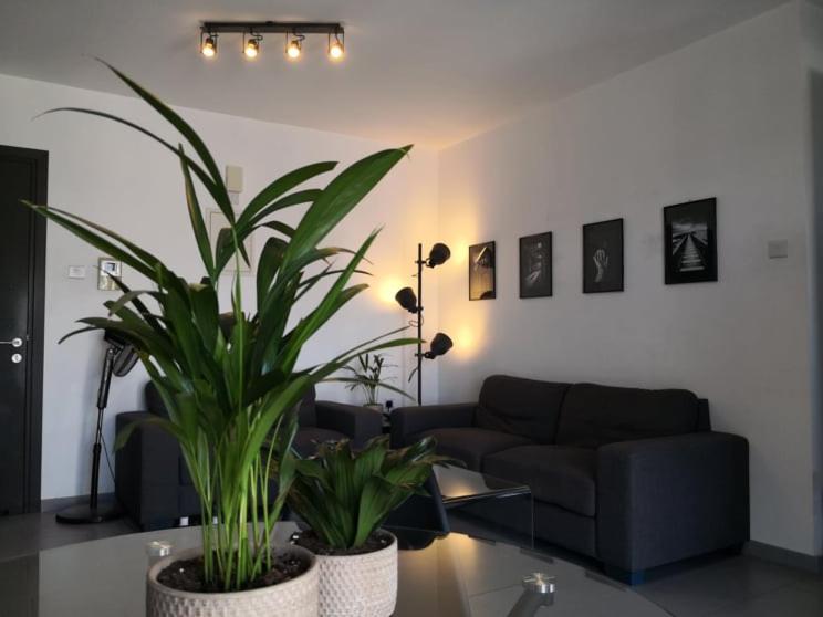One-Bedroom Apartment - Photo 1