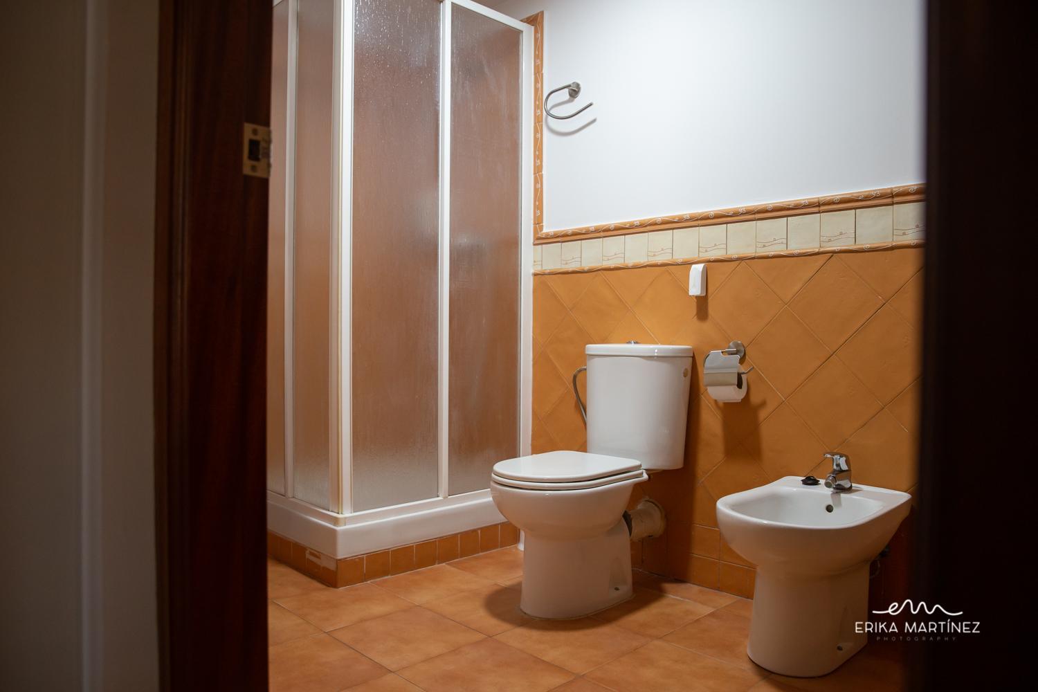 Duplex Apartment photo 3