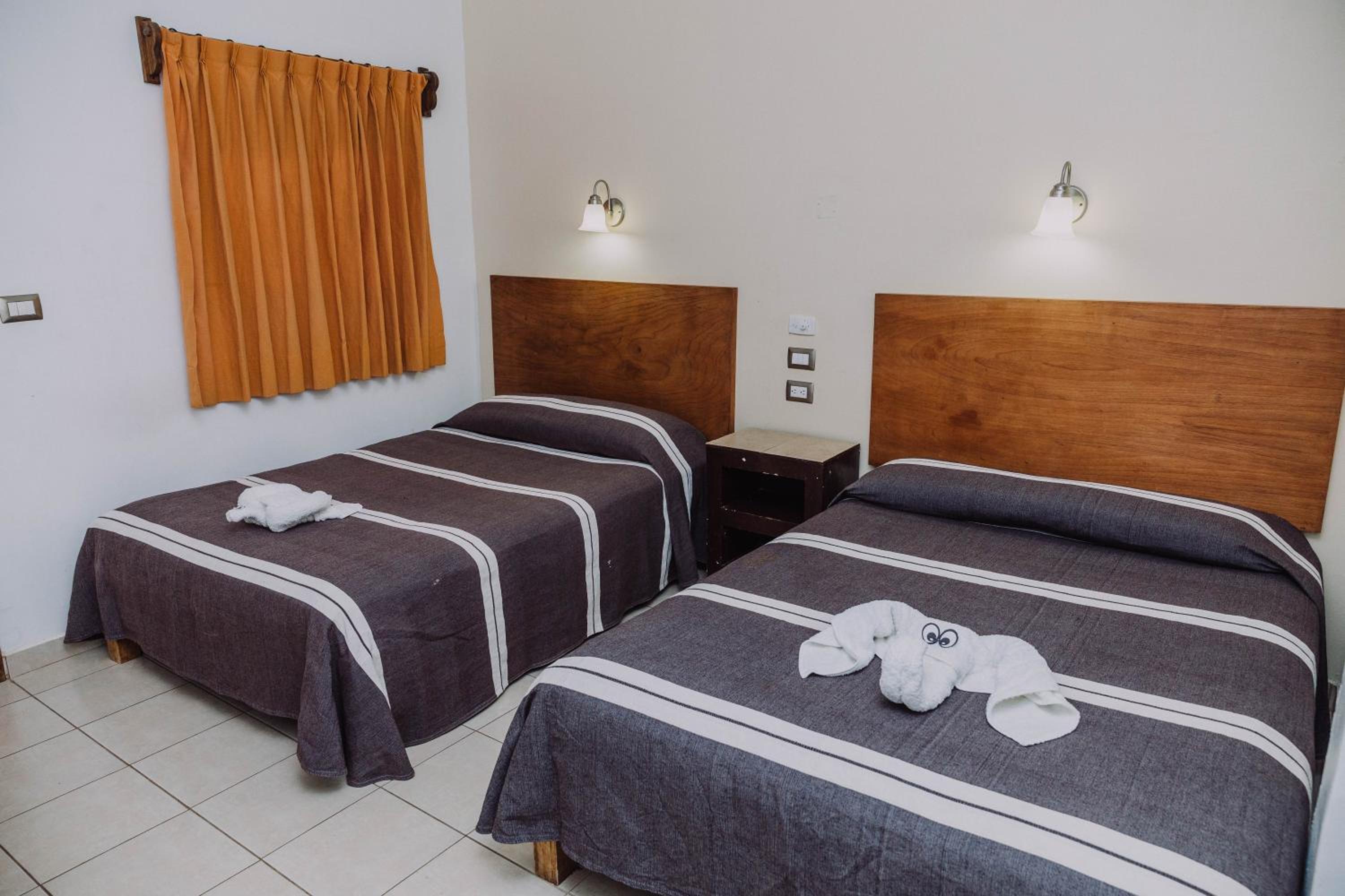 Double Room with Two Double Beds