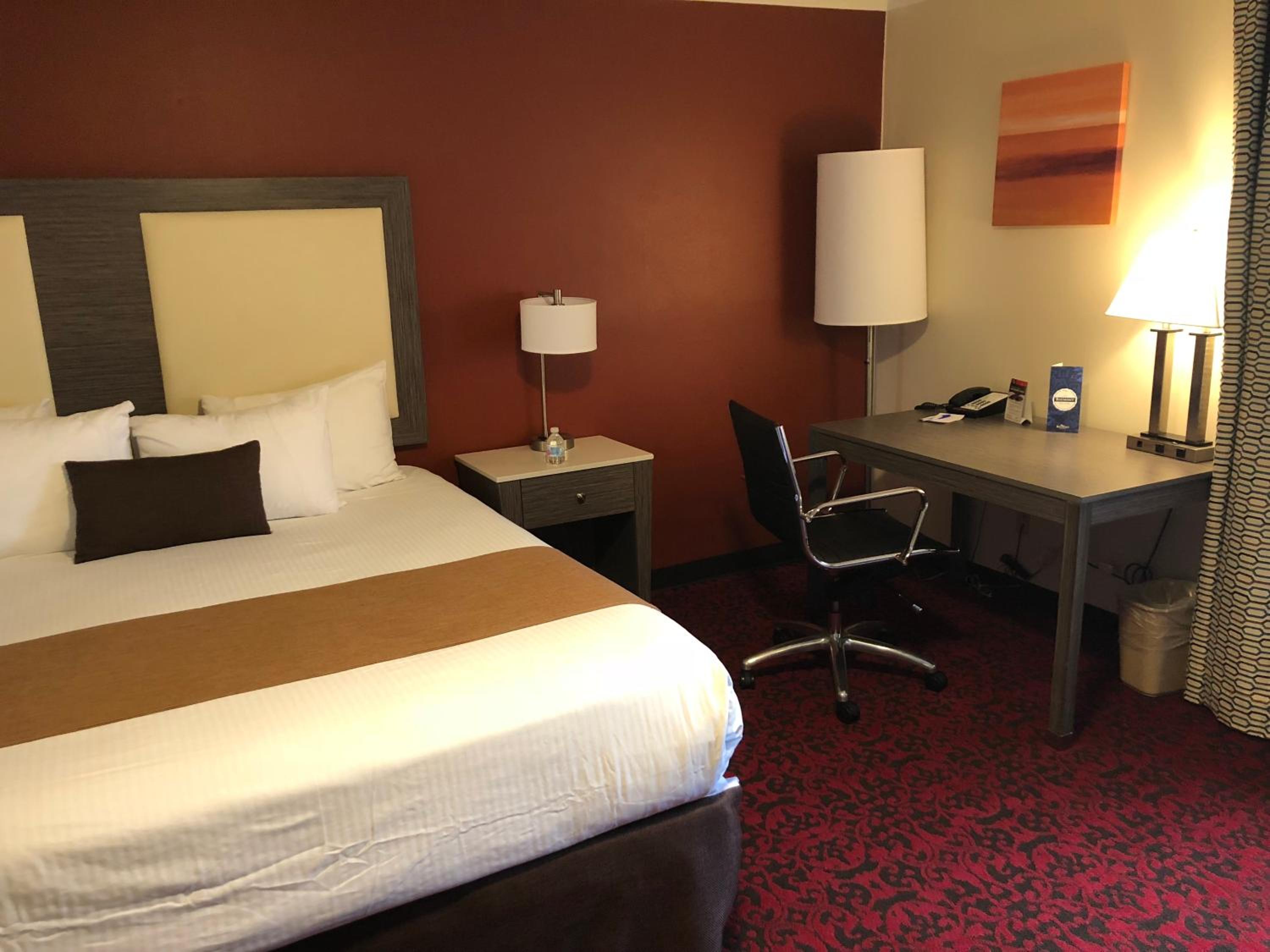 Leisure Suite - Photo 3