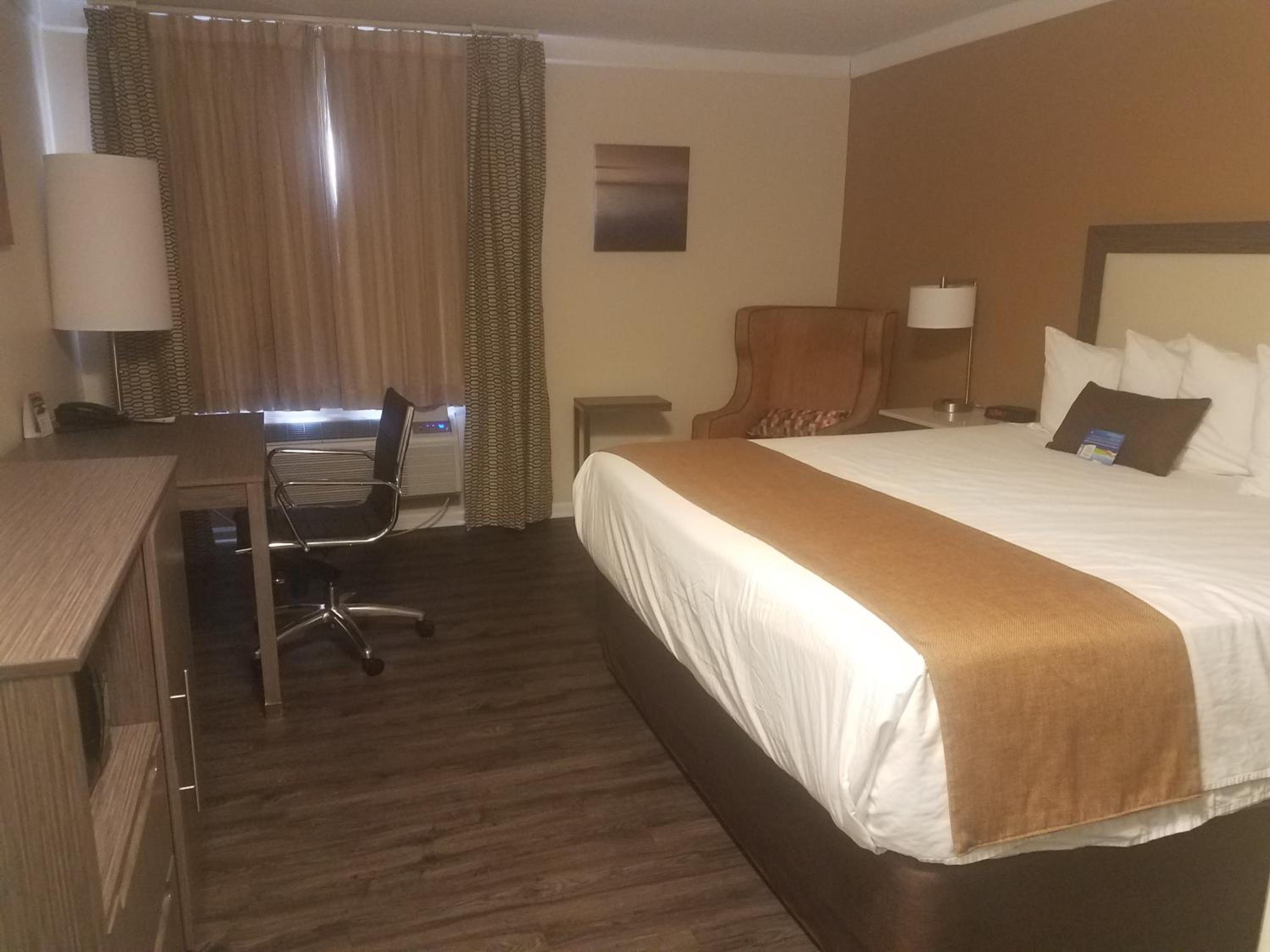 King Room - Pet Friendly/Non-Smoking - Photo 4