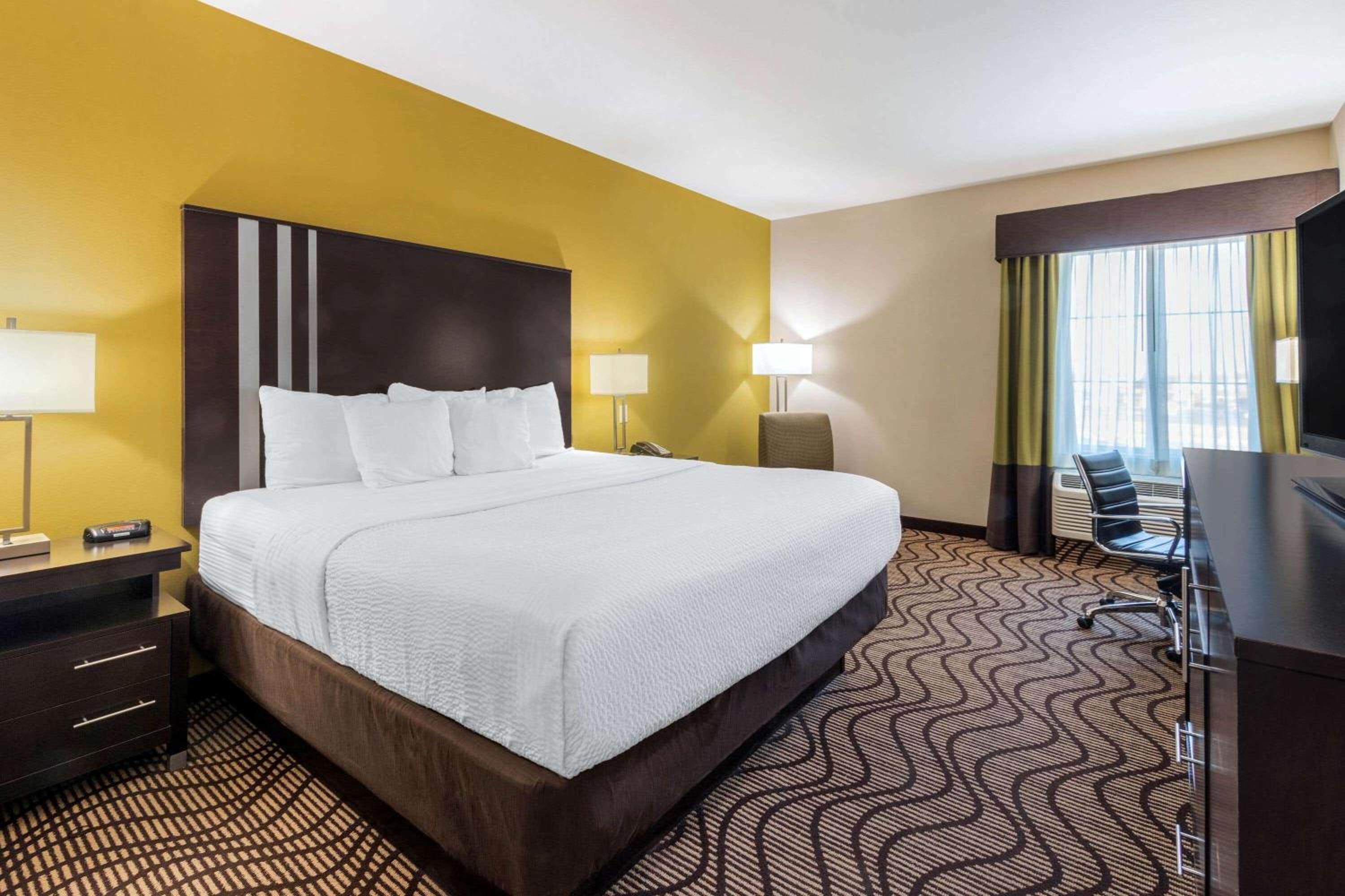 King Room photo 1