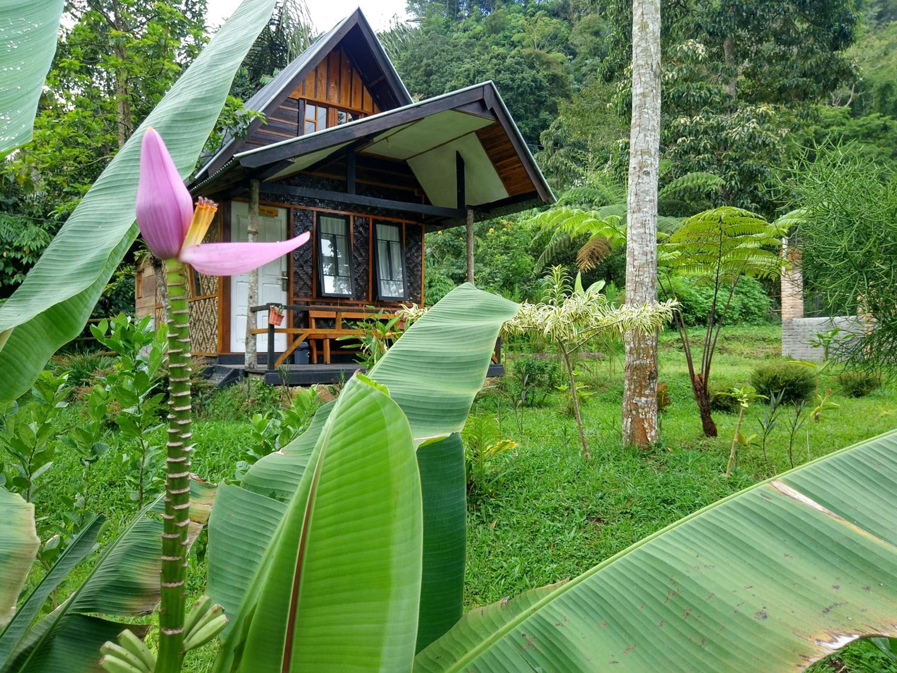 Bungalow - Photo 2