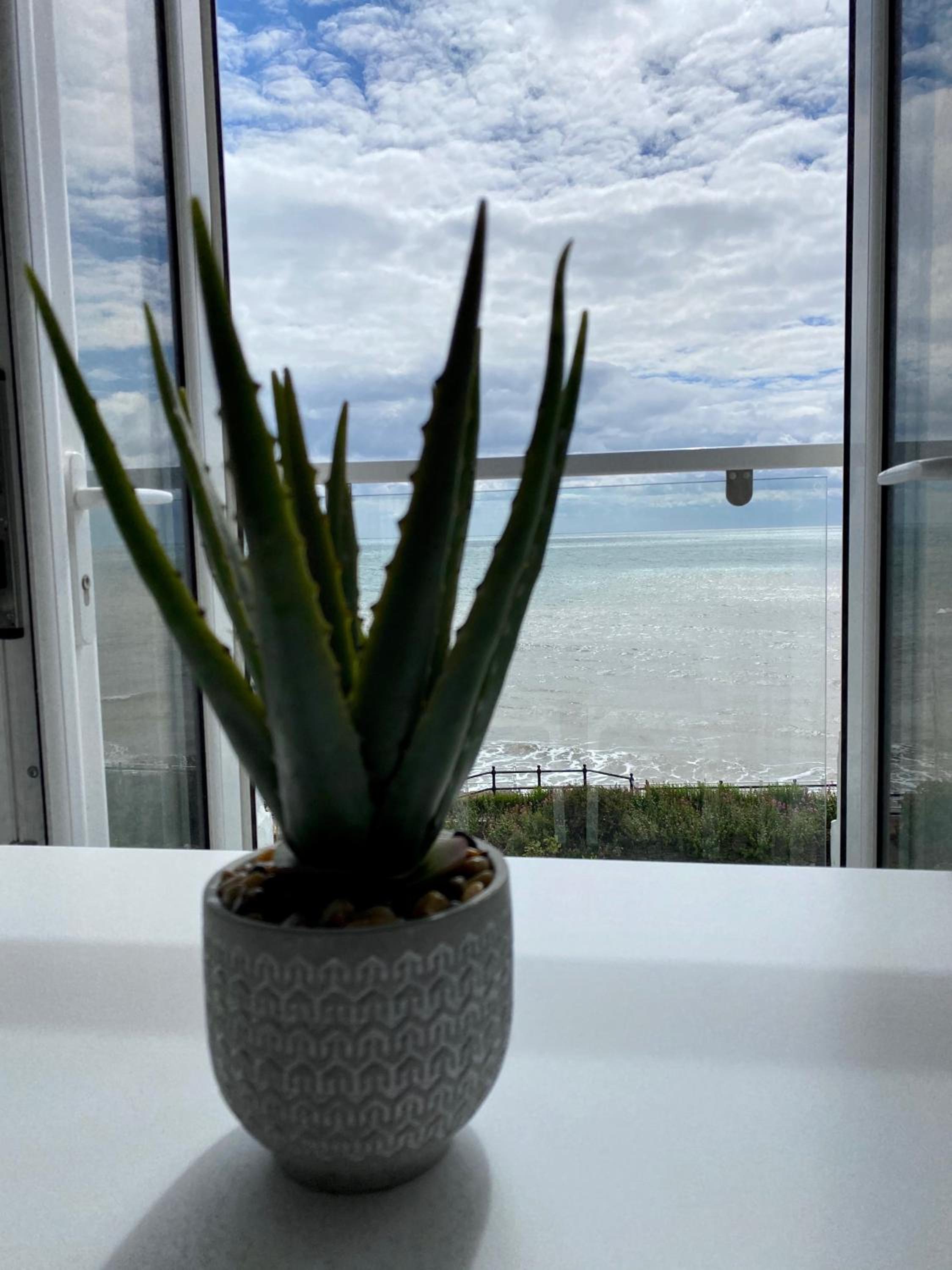 Studio Apartment with Sea View photo 2