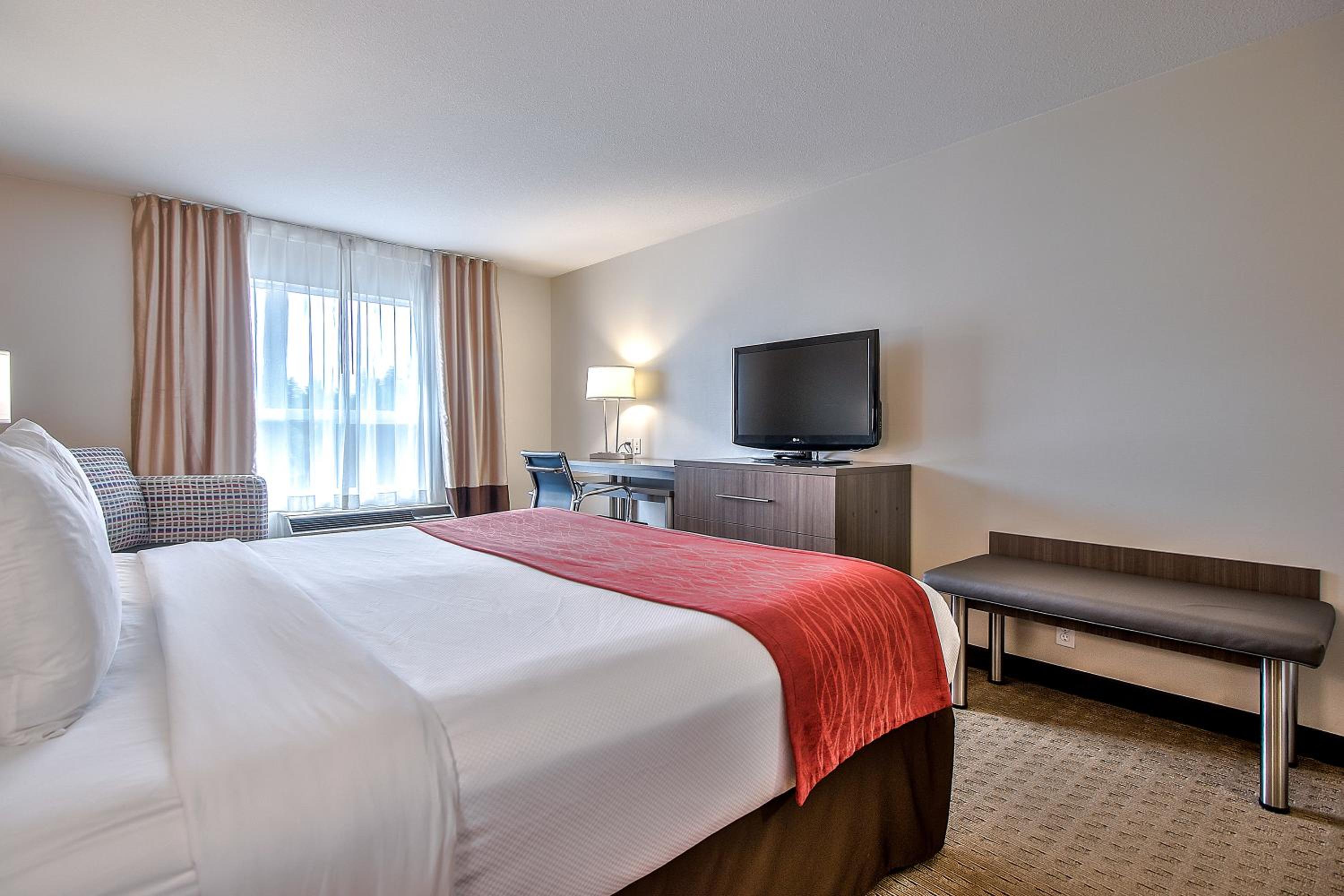 King Room - Non-Smoking - Photo 1