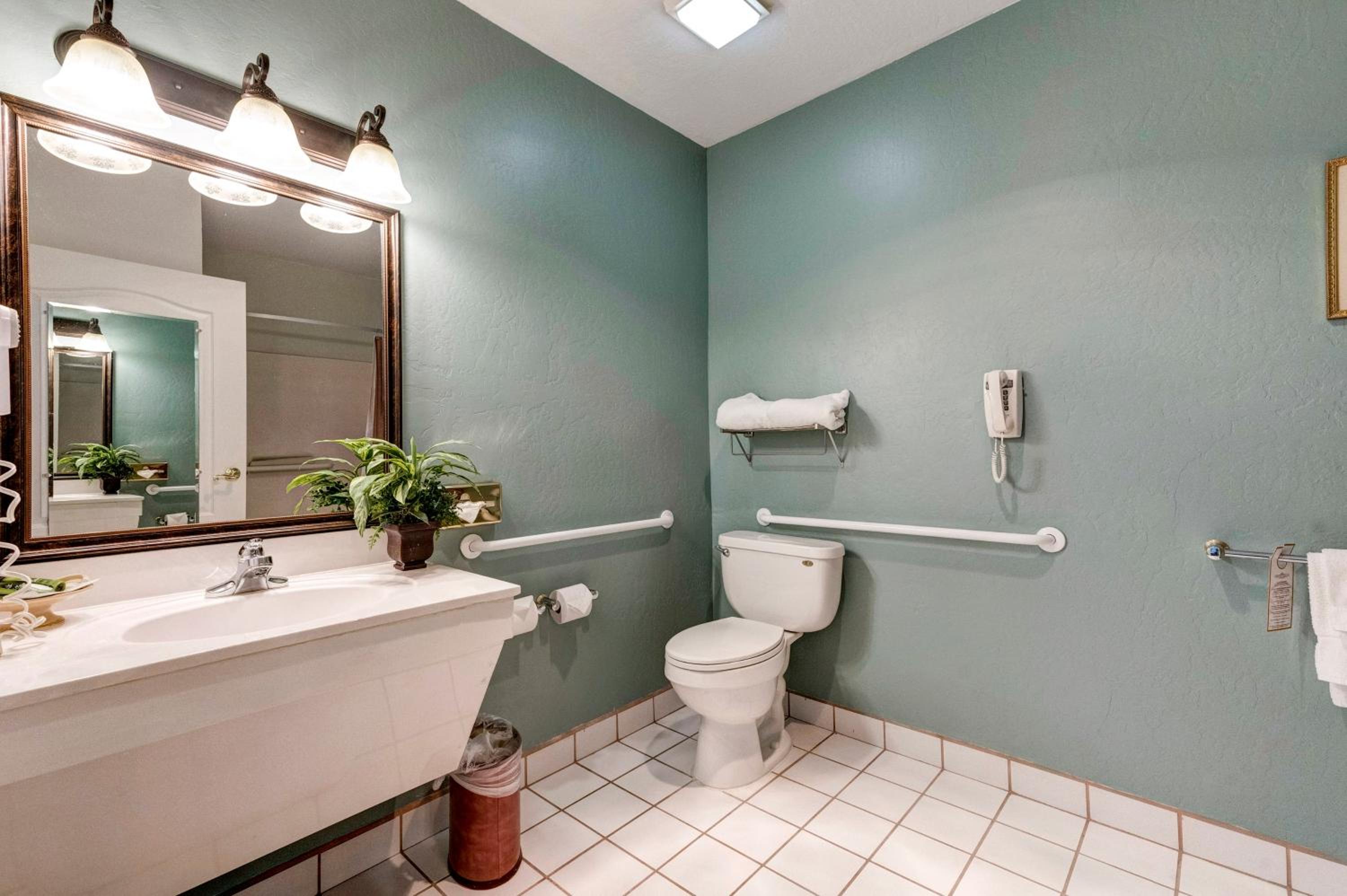  Standard King Accessible Room - Photo 6