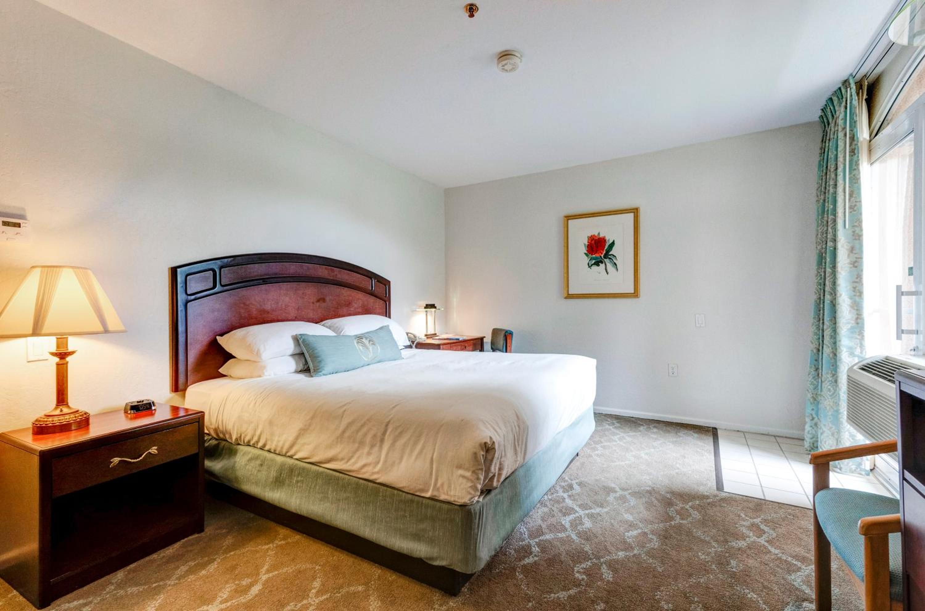  Standard King Accessible Room - Photo 2