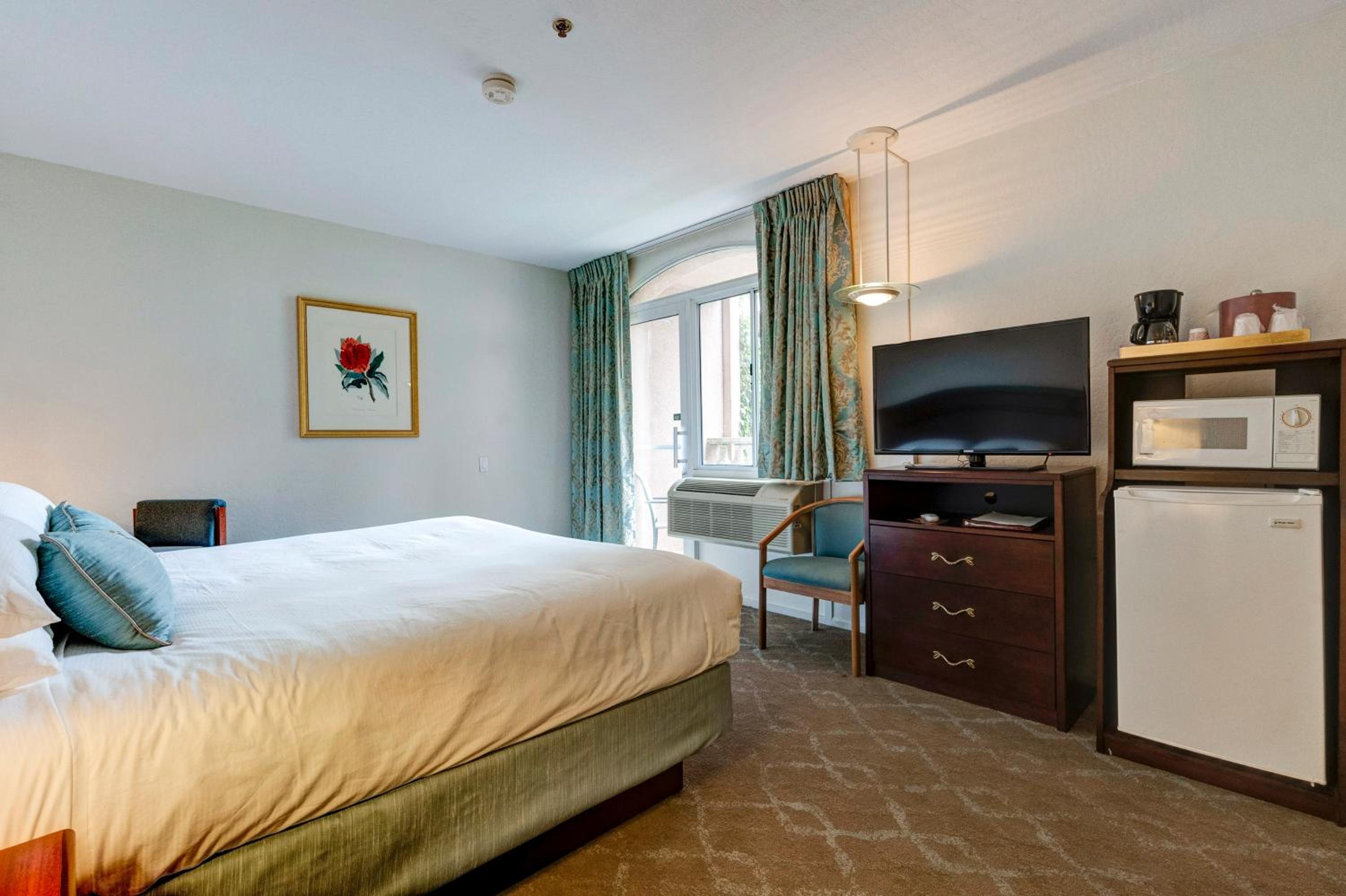  Standard King Accessible Room - Photo 4
