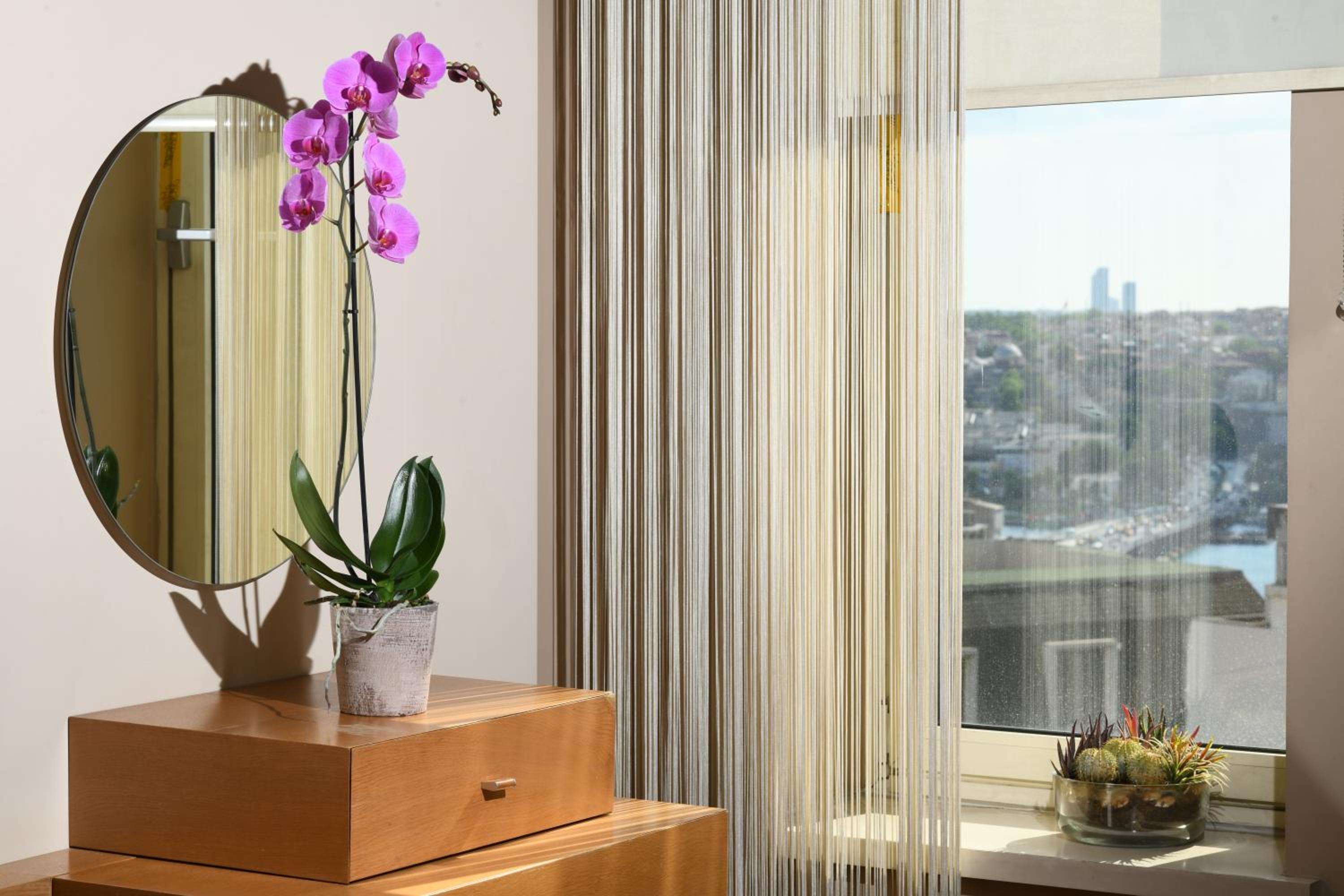 Superior Suite photo 2