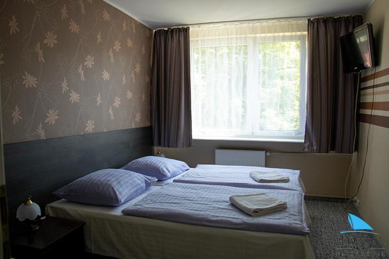 Deluxe Twin Room photo 1