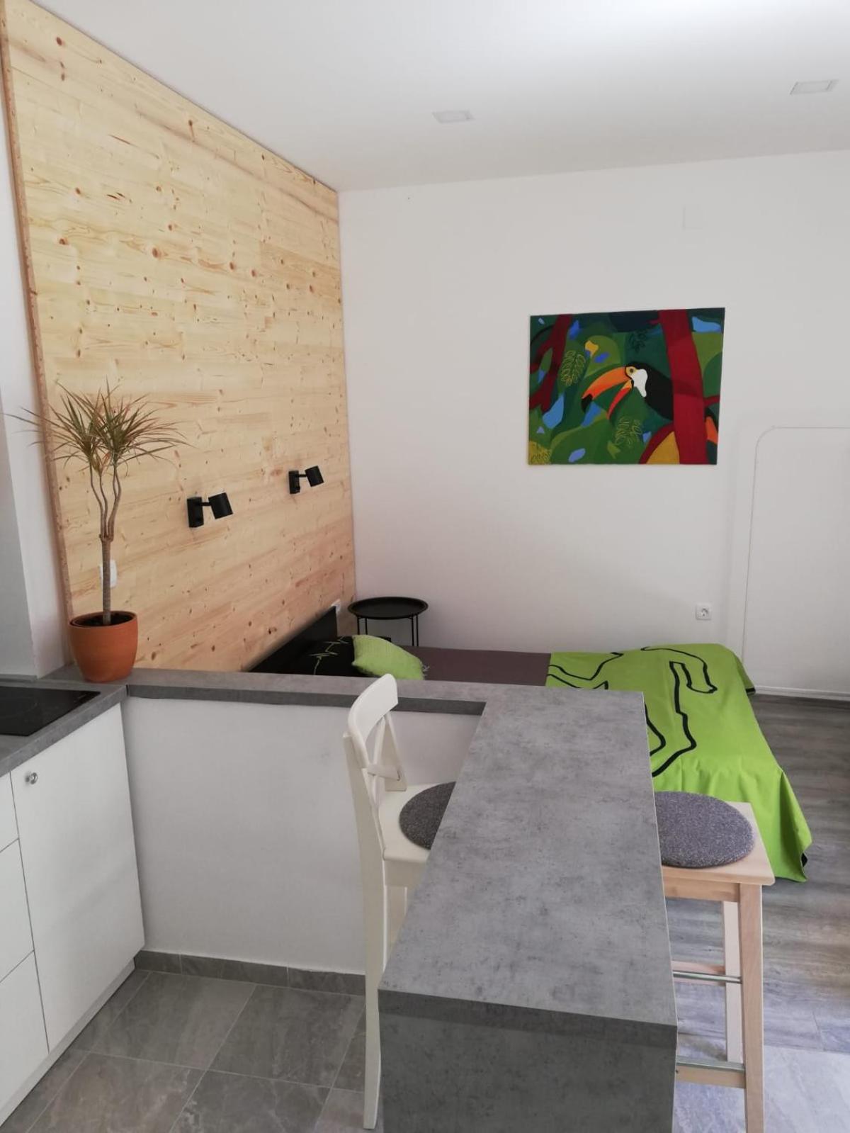 Studio Apartment photo 1