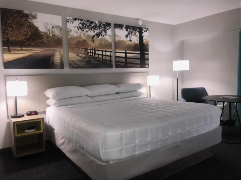 King Room - Non-Smoking - Photo 1