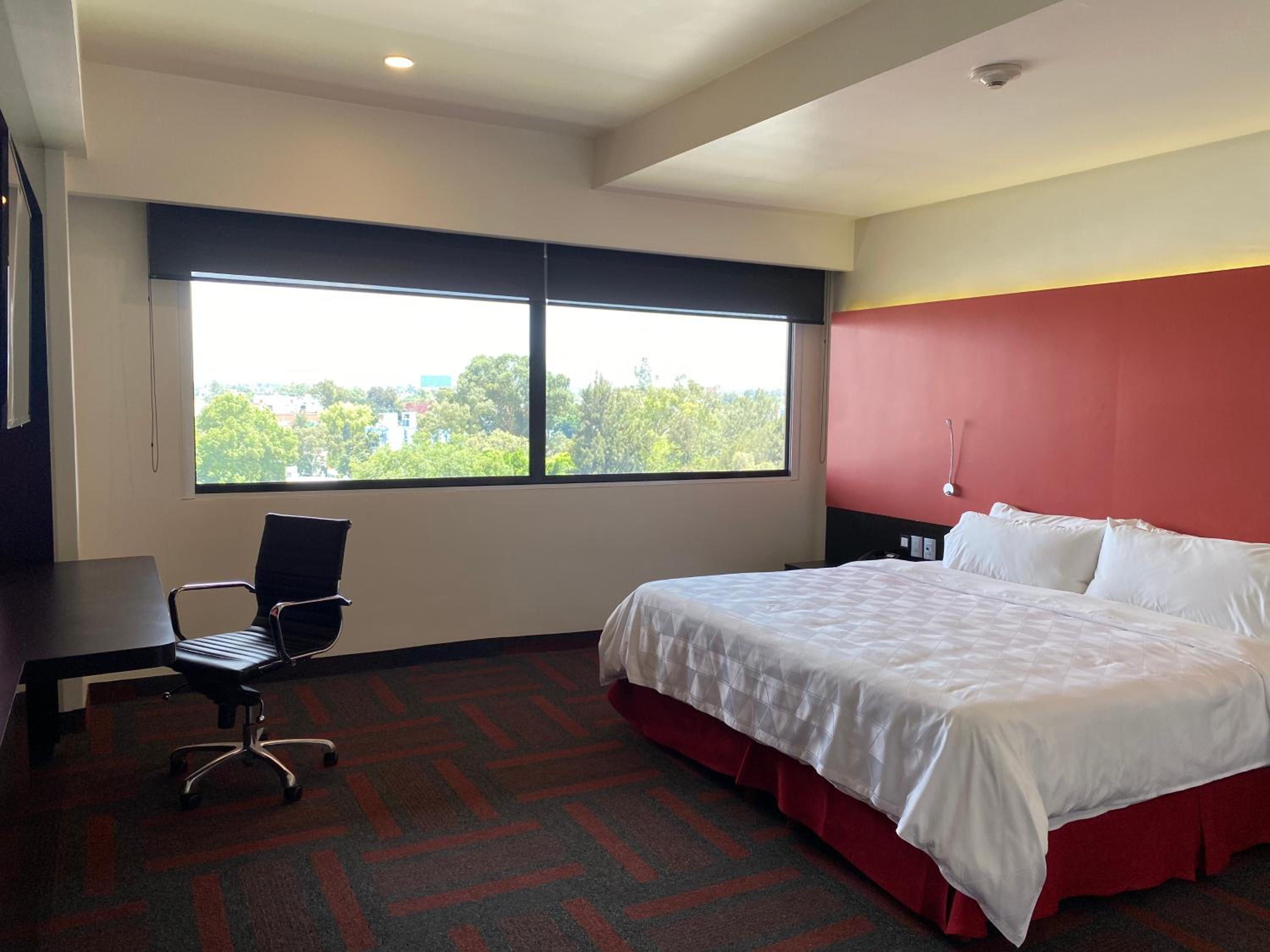 King Suite with Spa Bath - Photo 1