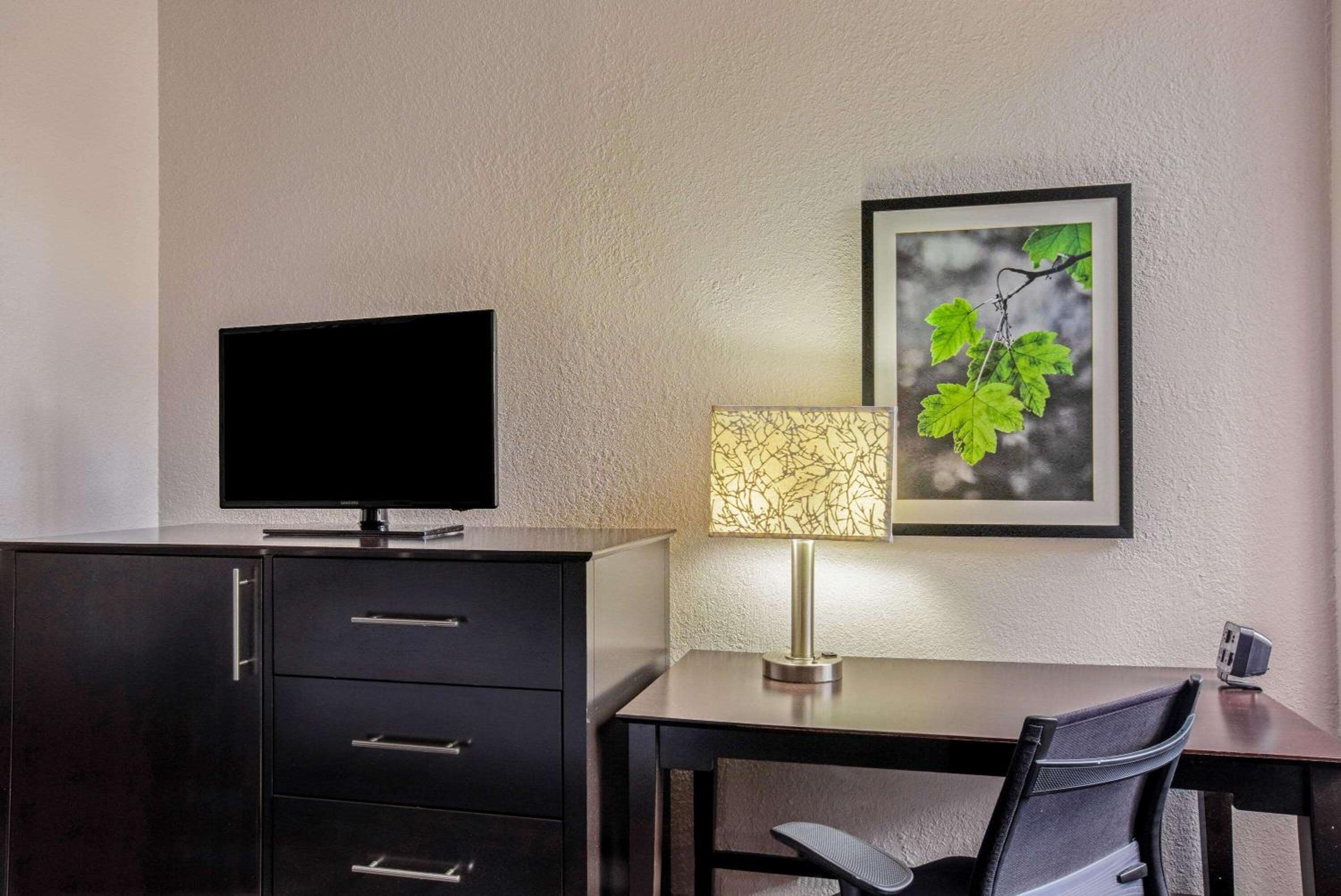 King Room - Photo 1