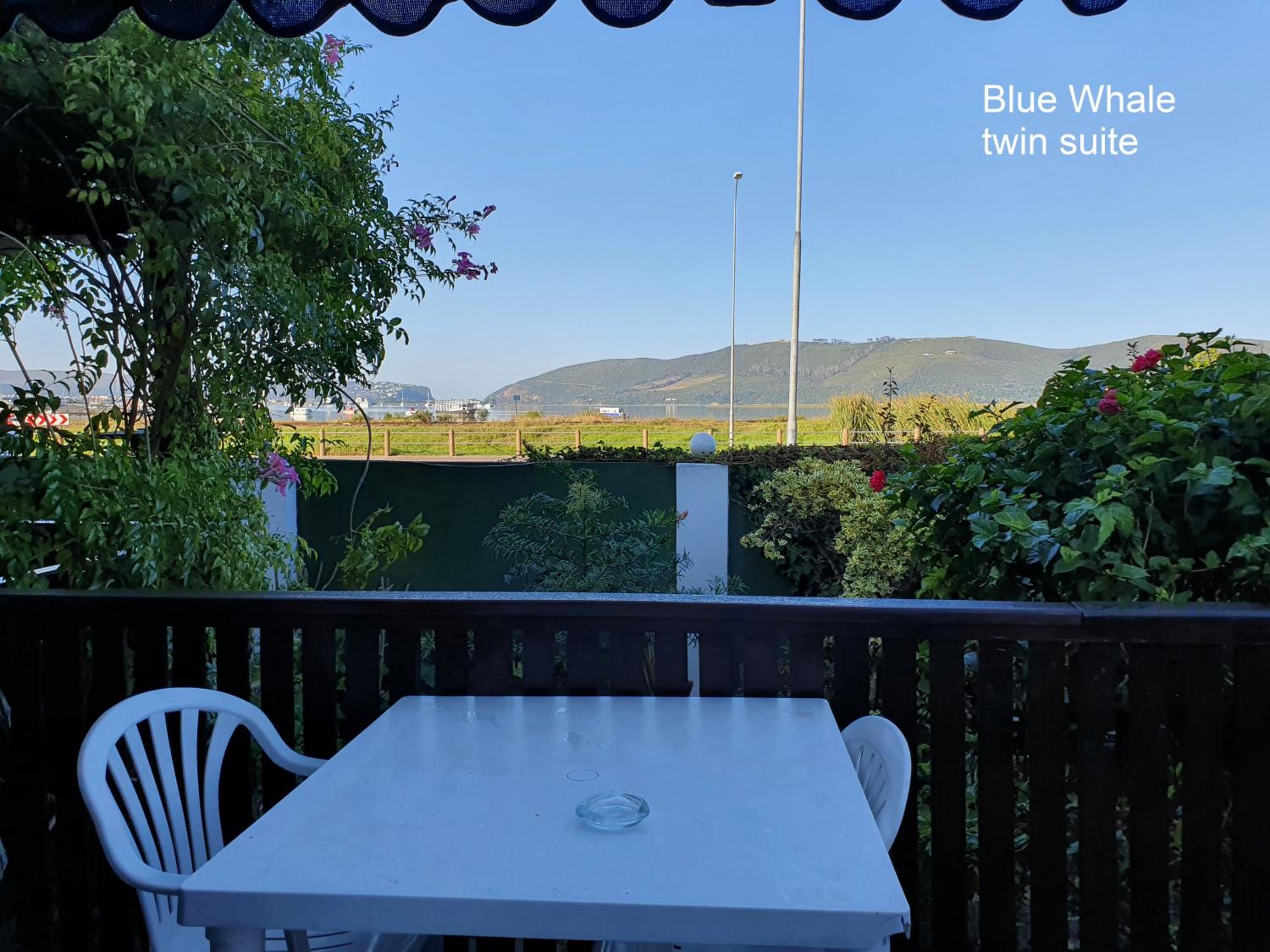 Double Suite - Photo 5