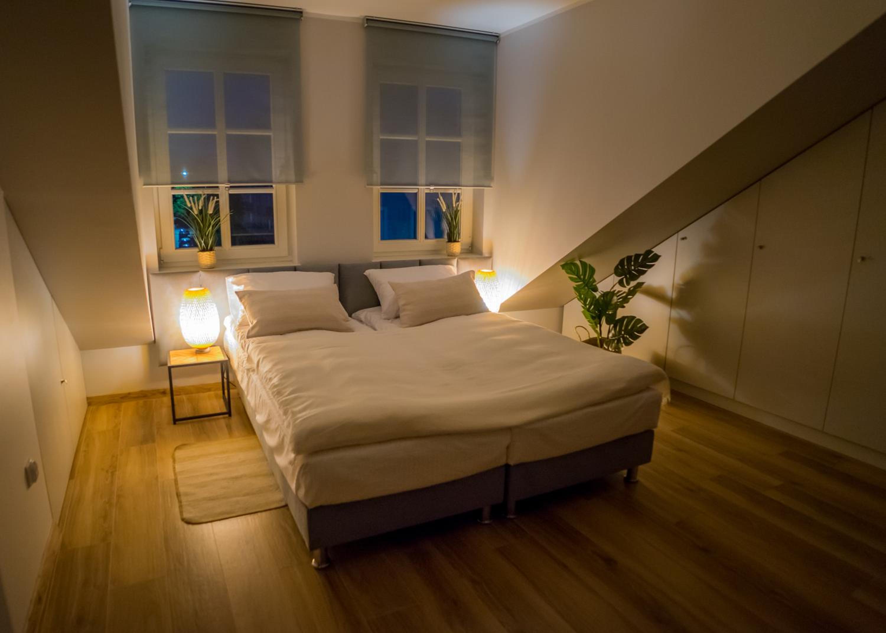 One-Bedroom Apartment photo 3