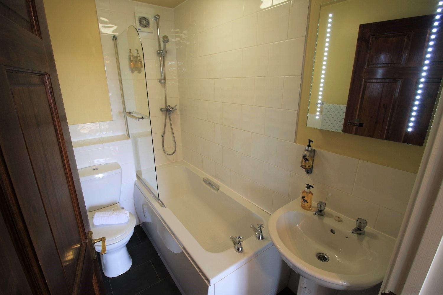 Family Room with Private Bathroom - Photo 7