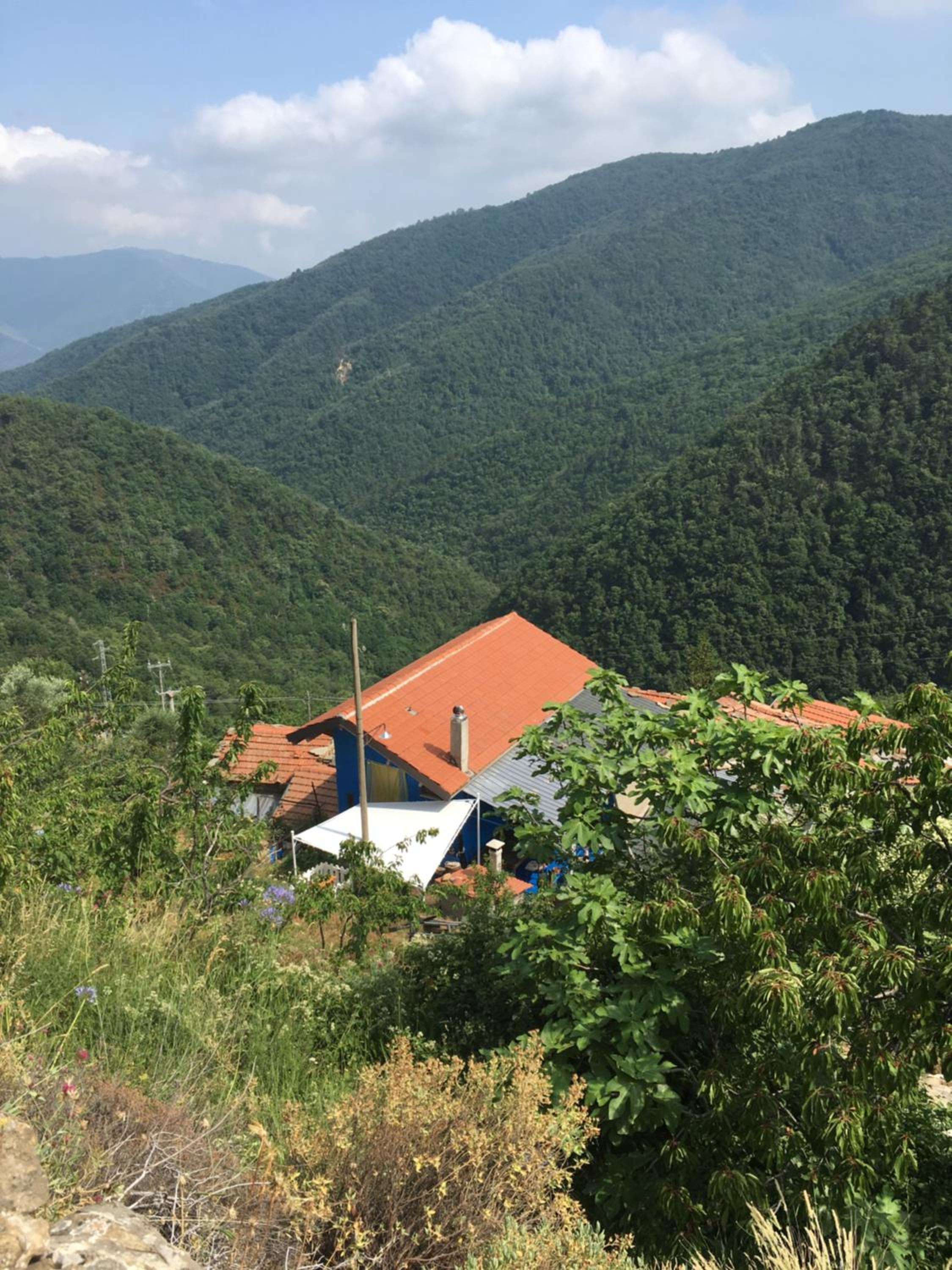 Double Room with Park View