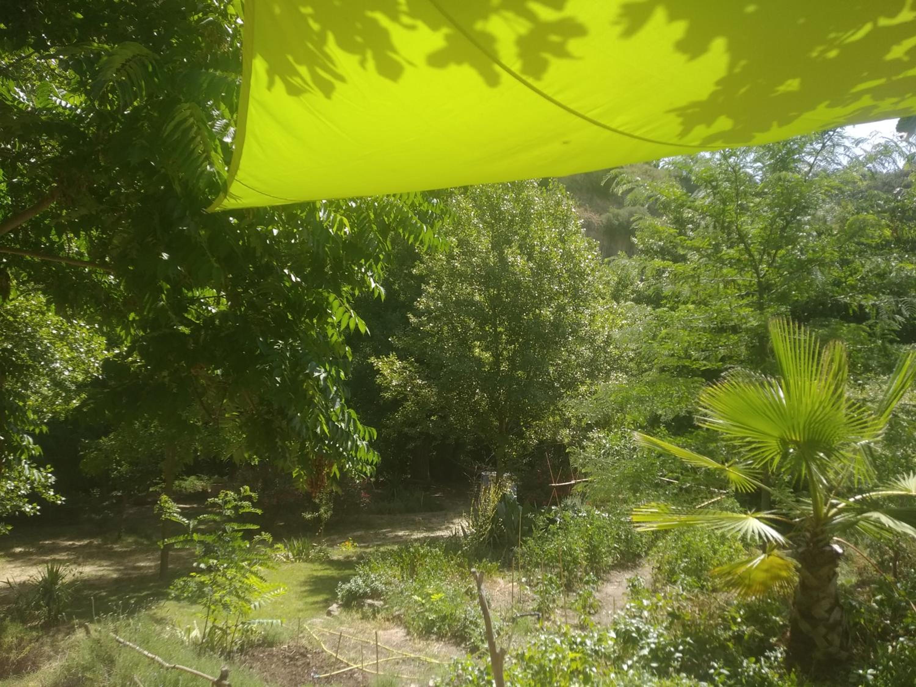 Studio with Terrace photo 2