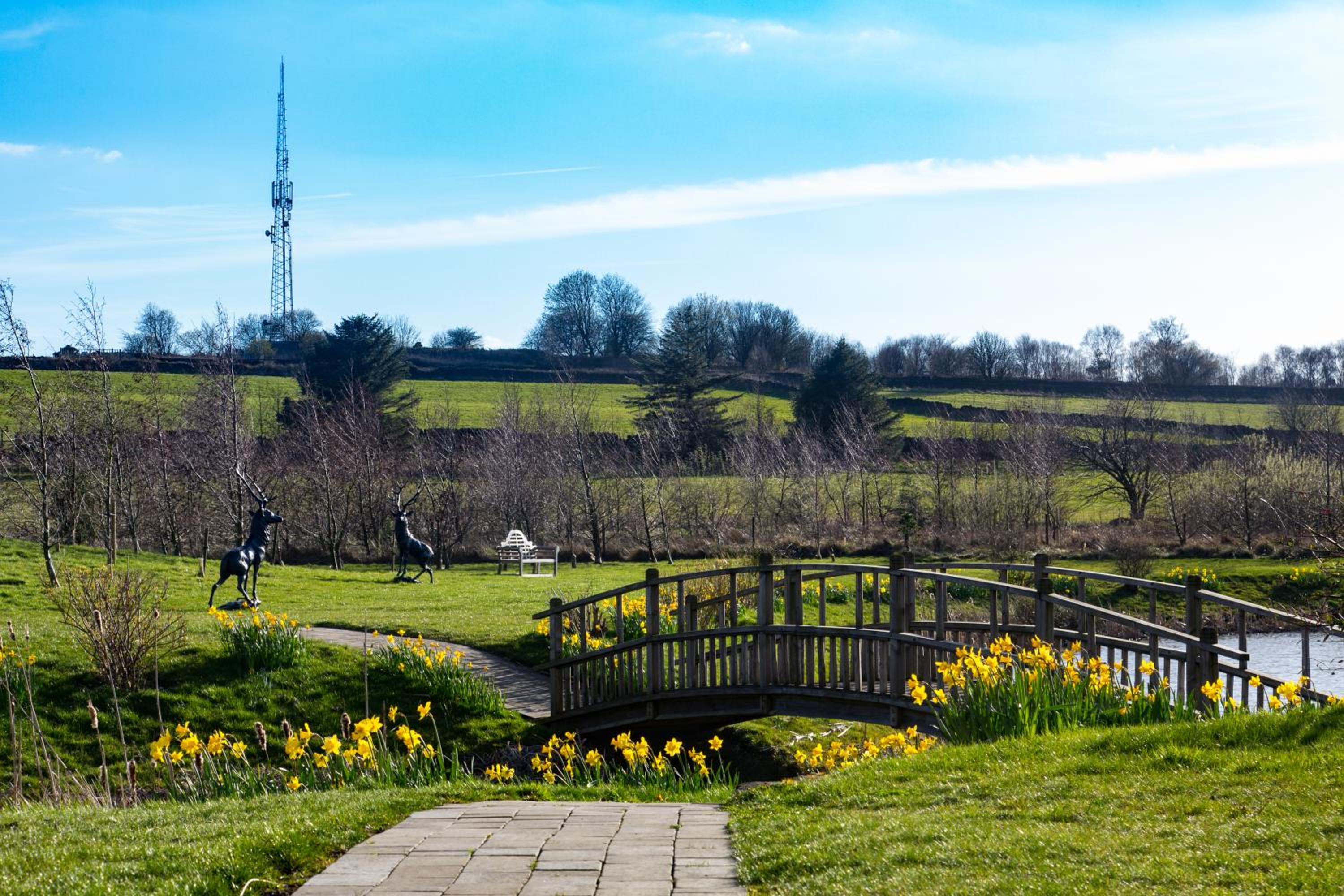The Haddon - with Garden View  - Photo 3