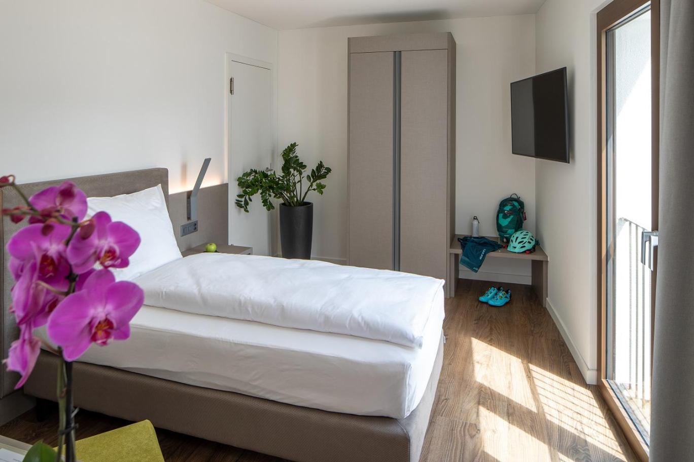 Single Room with Mountain View