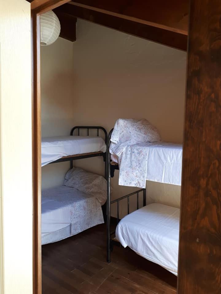 Cama en habitación compartida de 4 camas