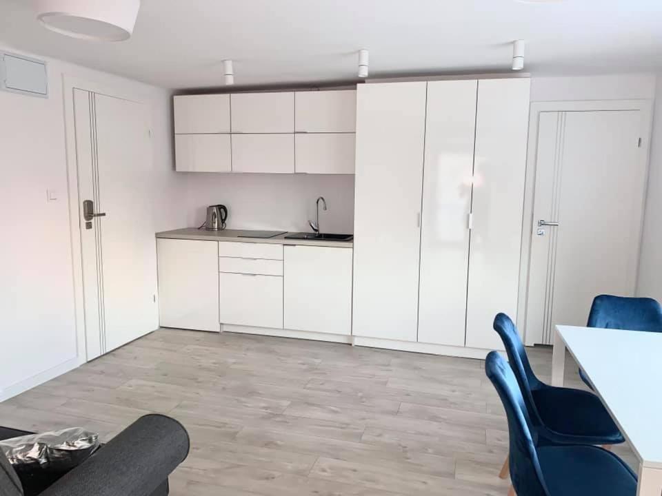 One-Bedroom Apartment photo 3