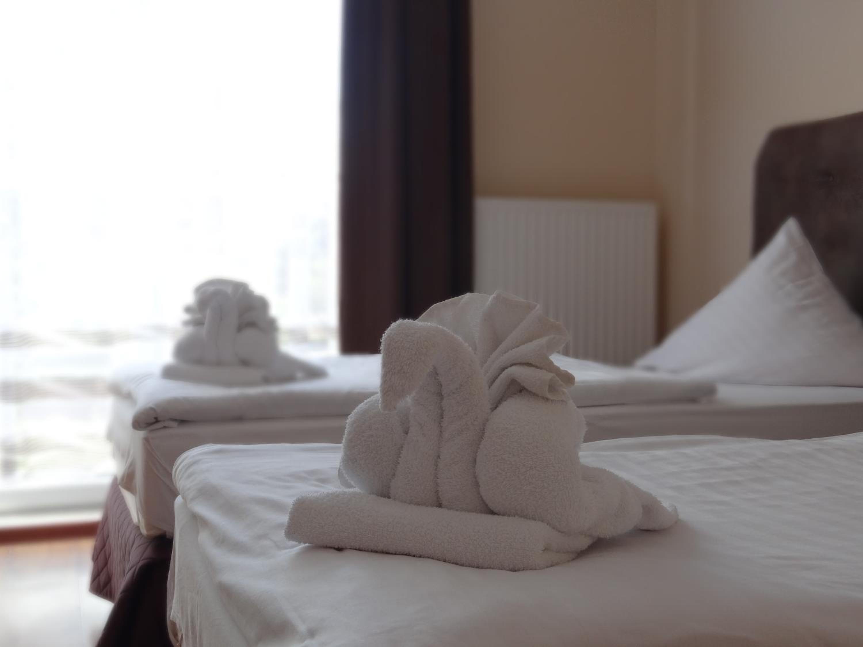 Twin Room - Photo 7